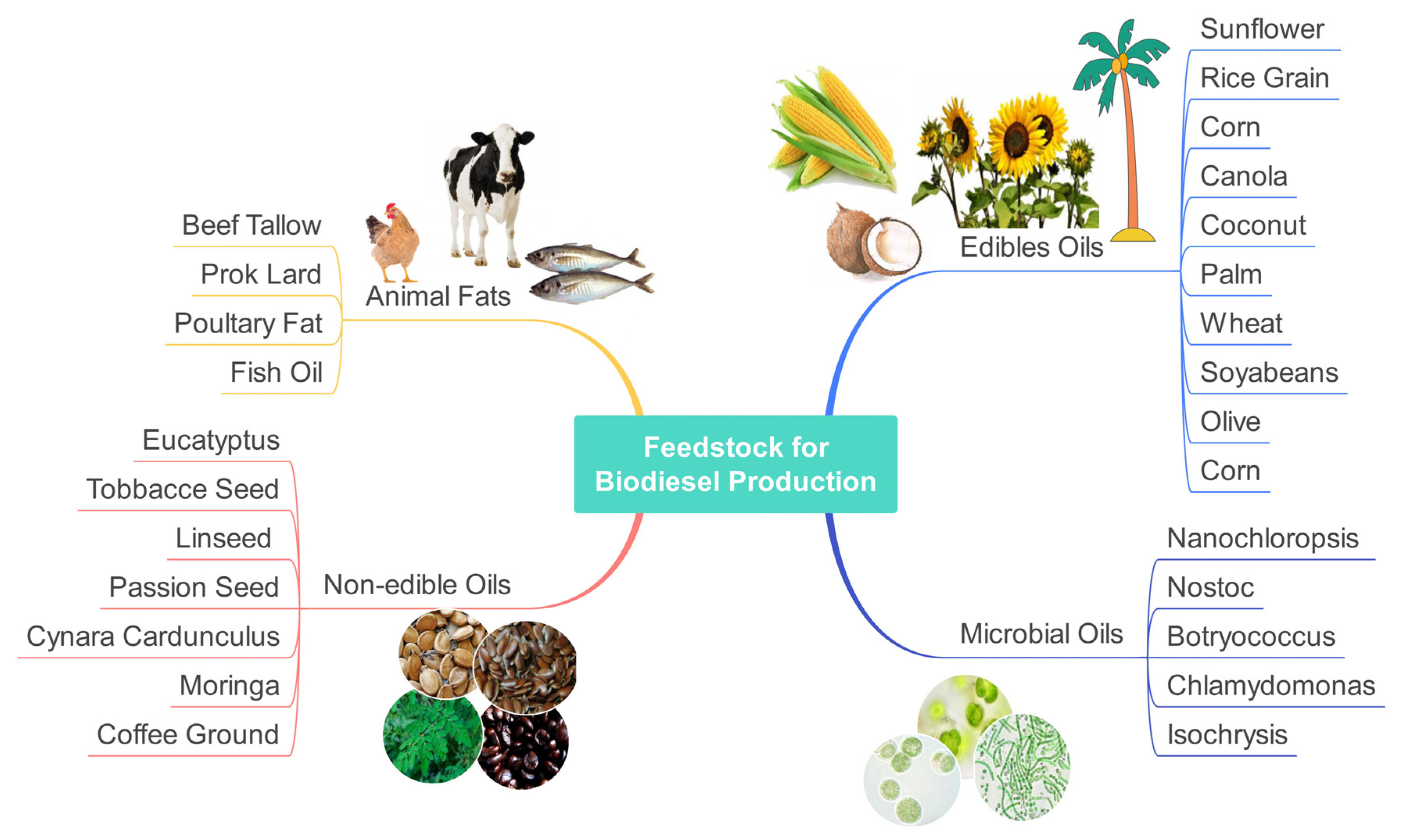 Sustainability 15 16550 g002