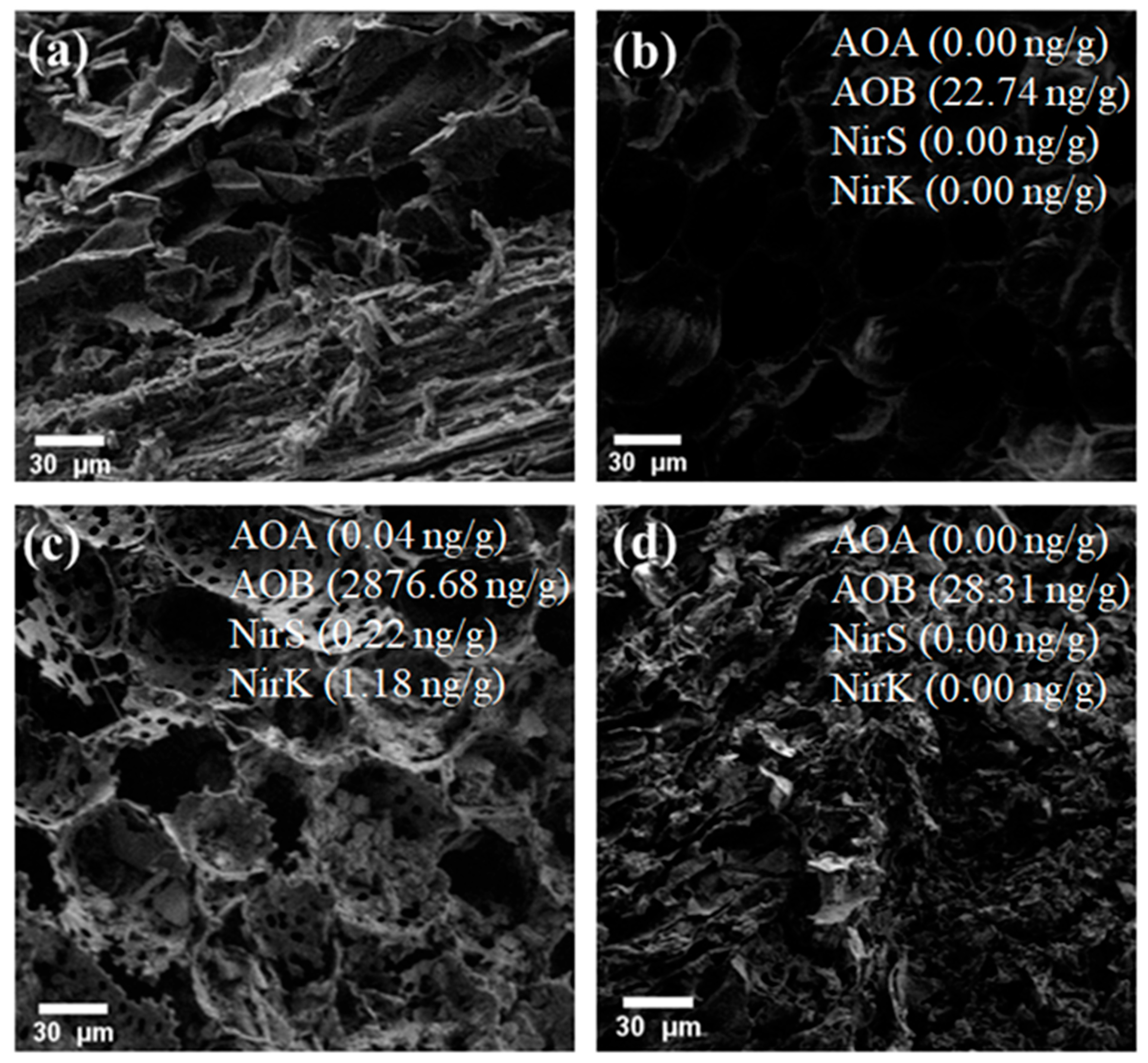 Sustainability 15 16551 g004