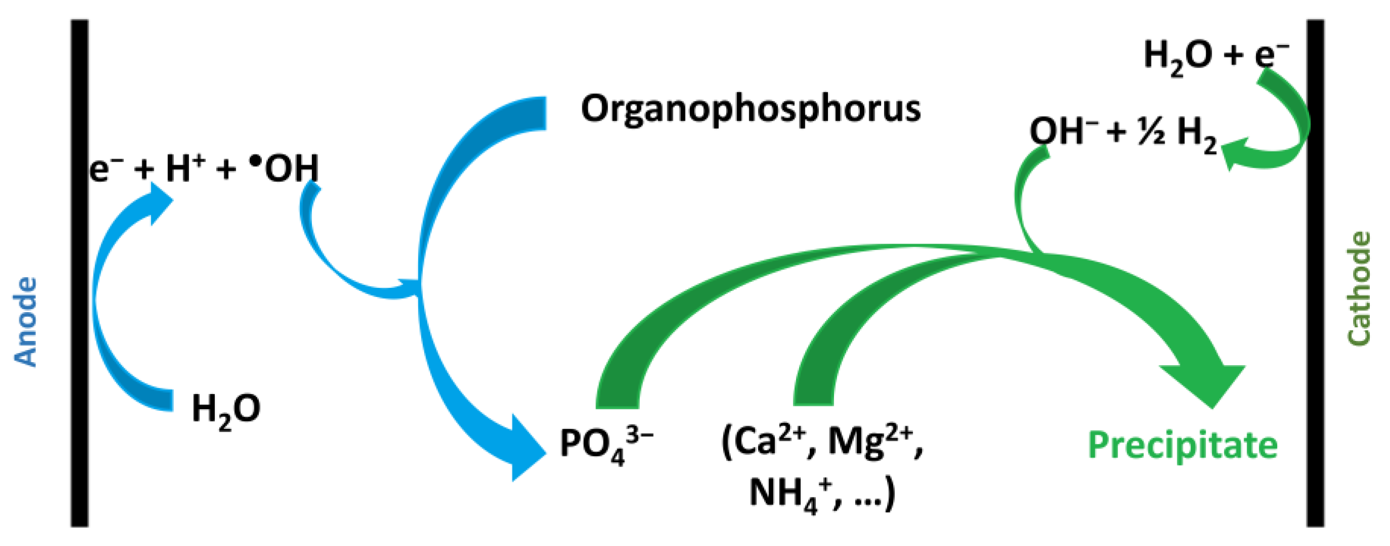 Sustainability 15 16556 g001