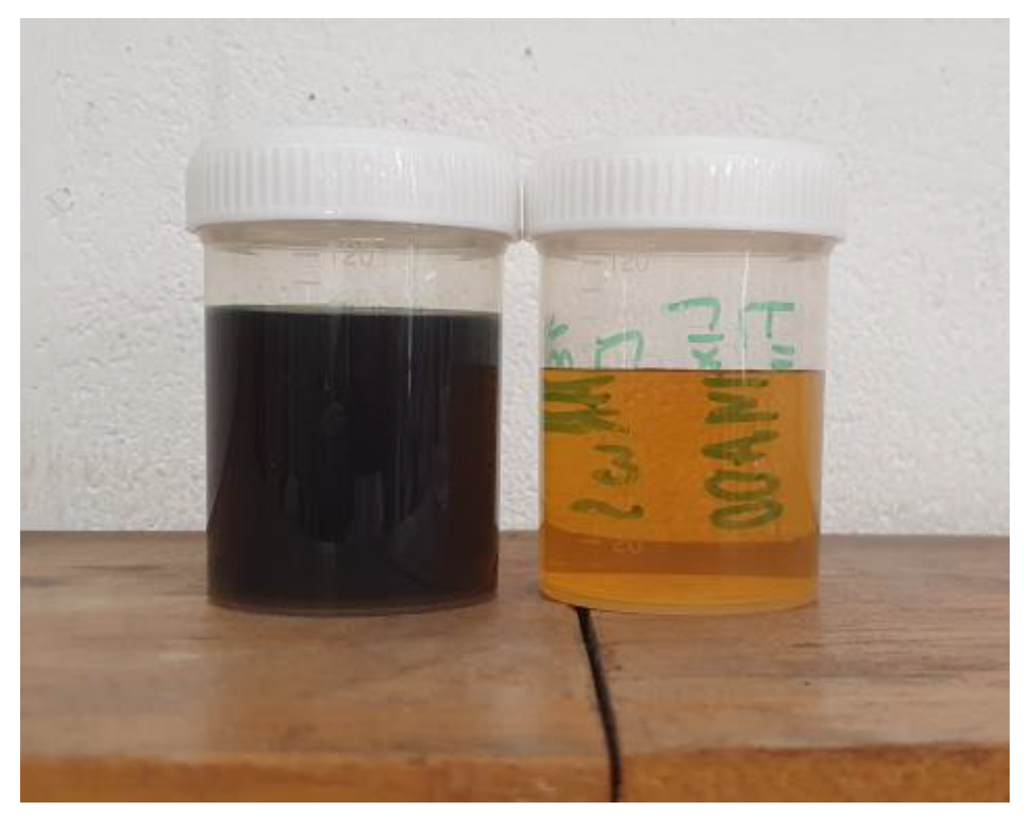 Sustainability 15 16556 g007