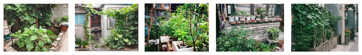 Sustainability 15 16566 i001