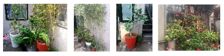 Sustainability 15 16566 i003