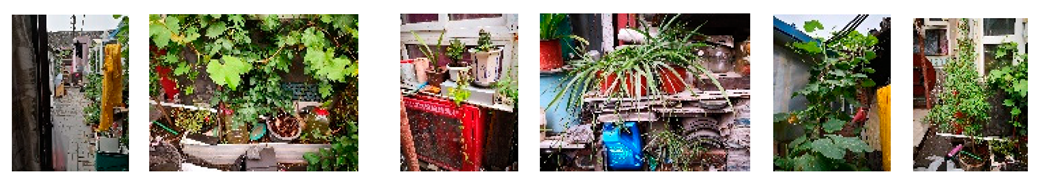 Sustainability 15 16566 i006