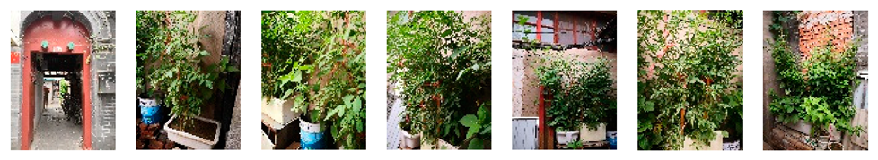 Sustainability 15 16566 i017