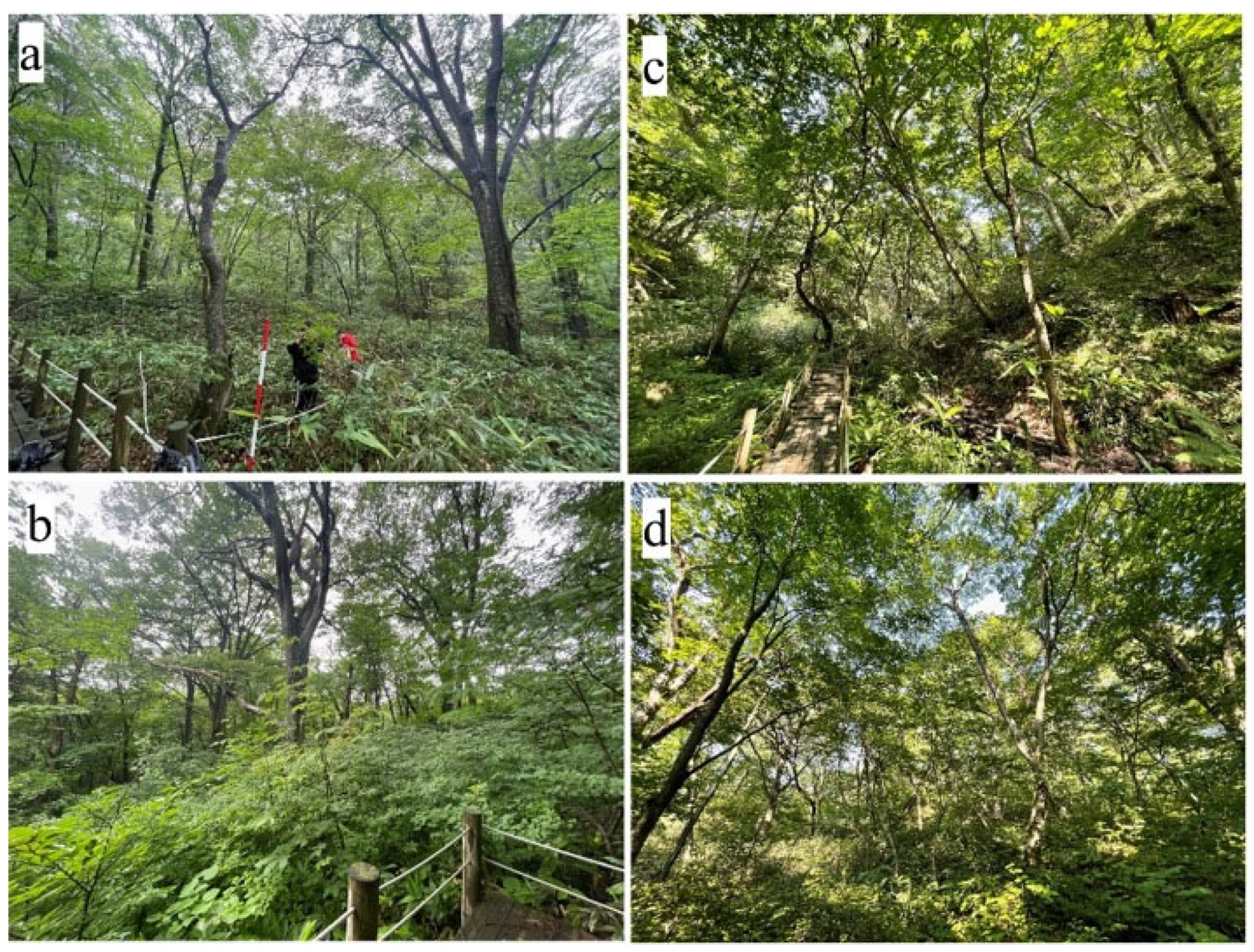 Sustainability 15 16572 g004