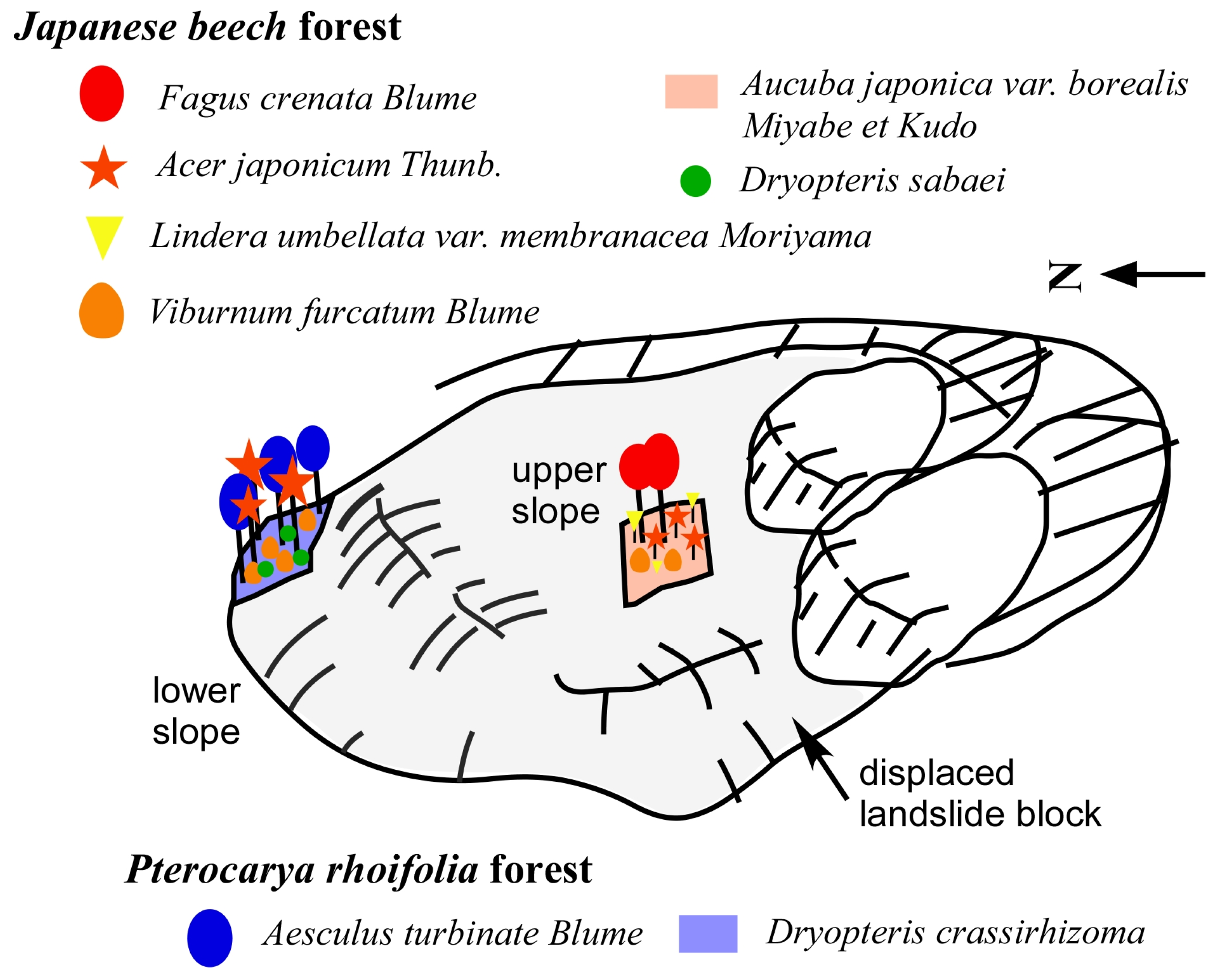 Sustainability 15 16572 g009