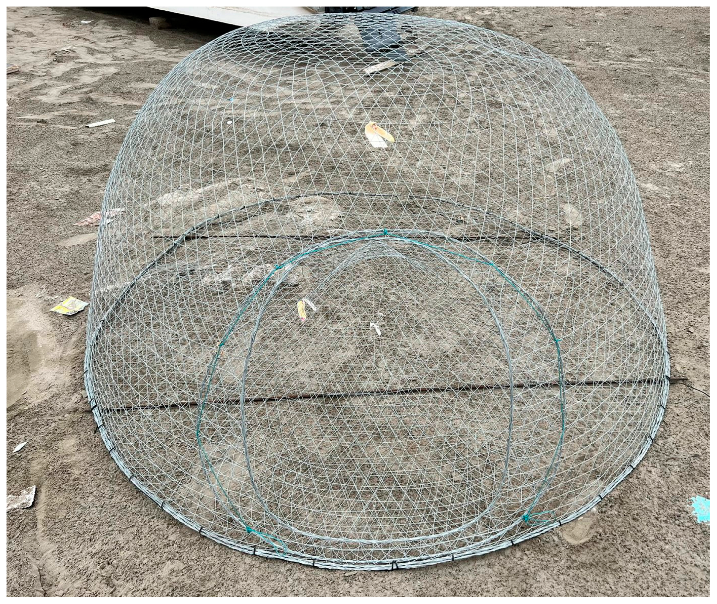 Sustainability 15 16574 g002