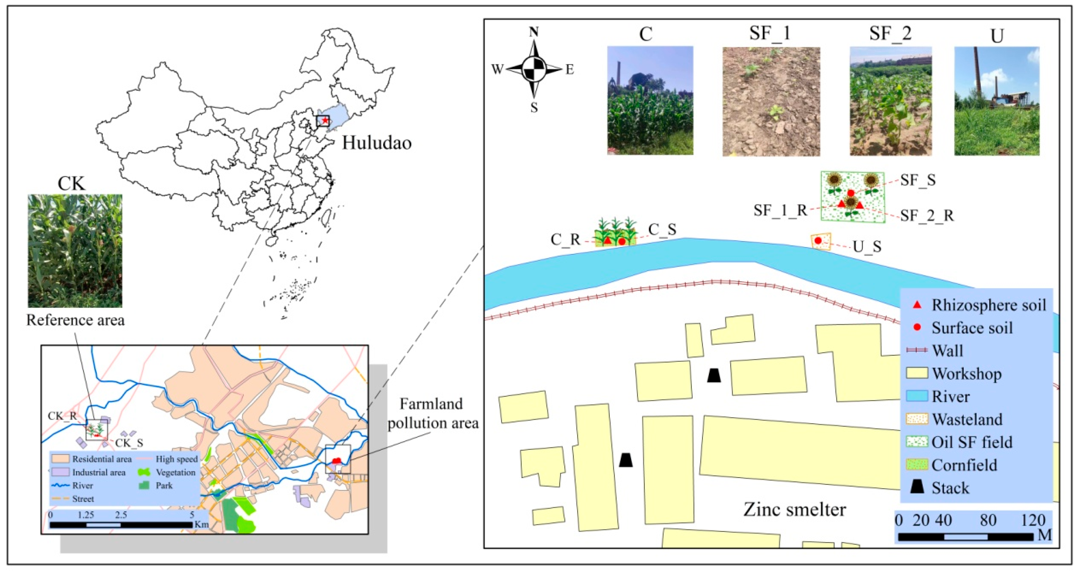 Sustainability 15 16598 g001