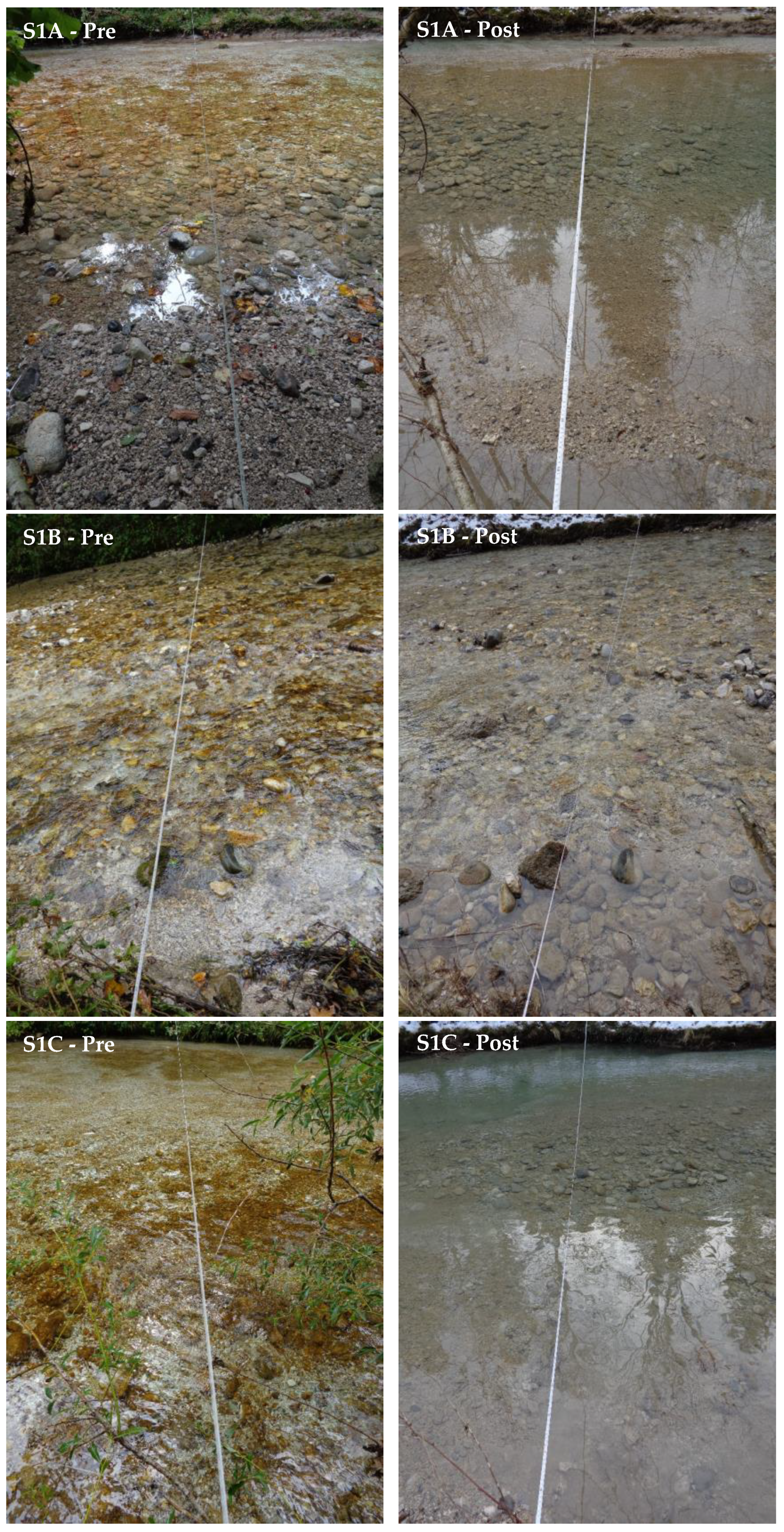 Sustainability 15 16626 g005