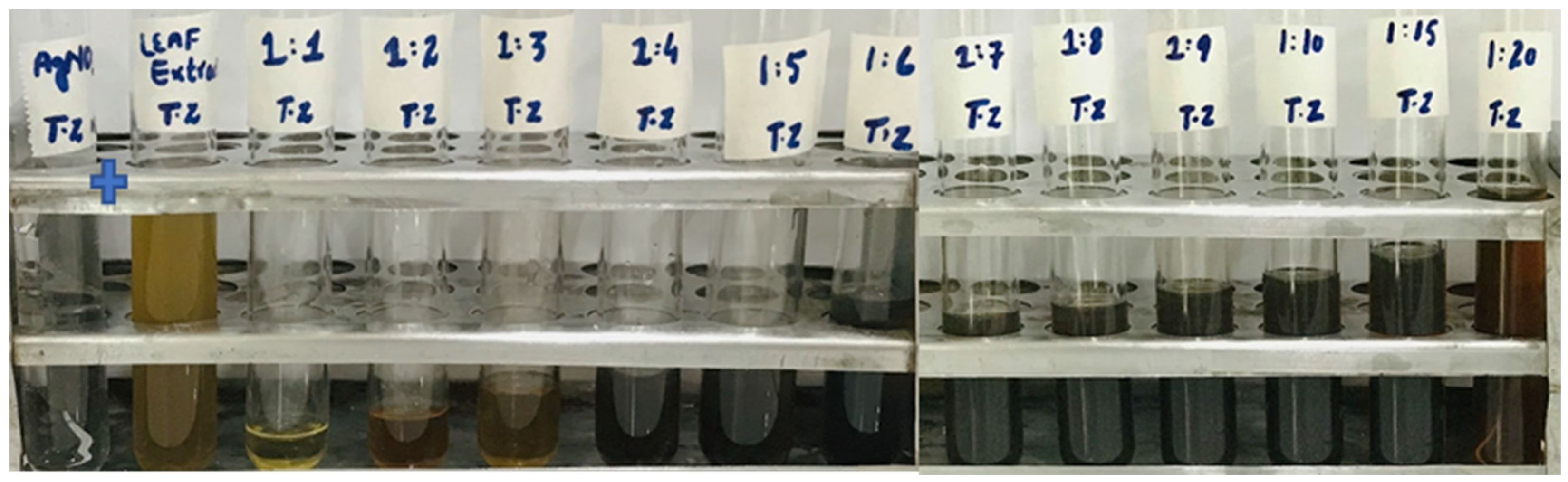 Sustainability 15 16633 g002