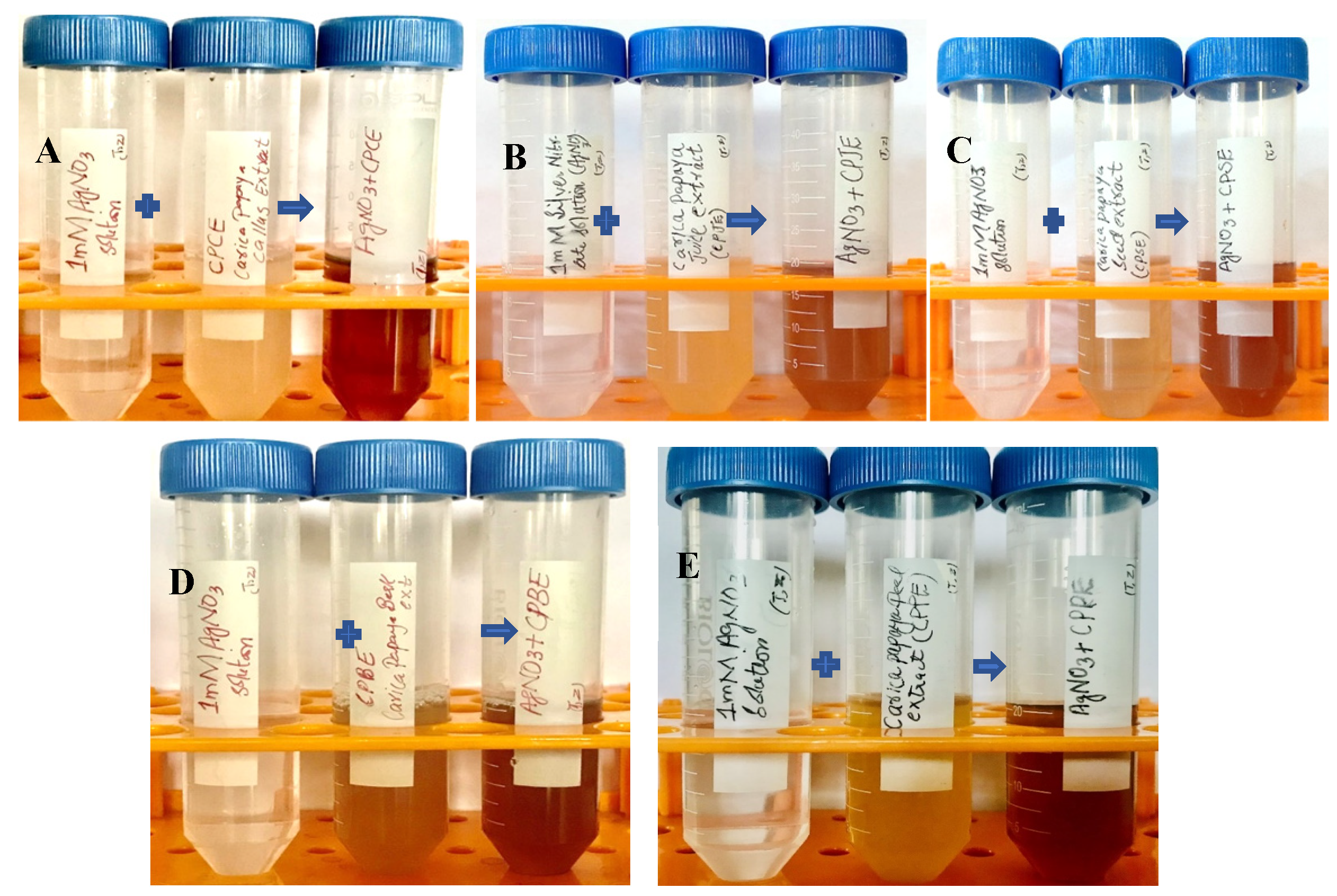 Sustainability 15 16633 g004