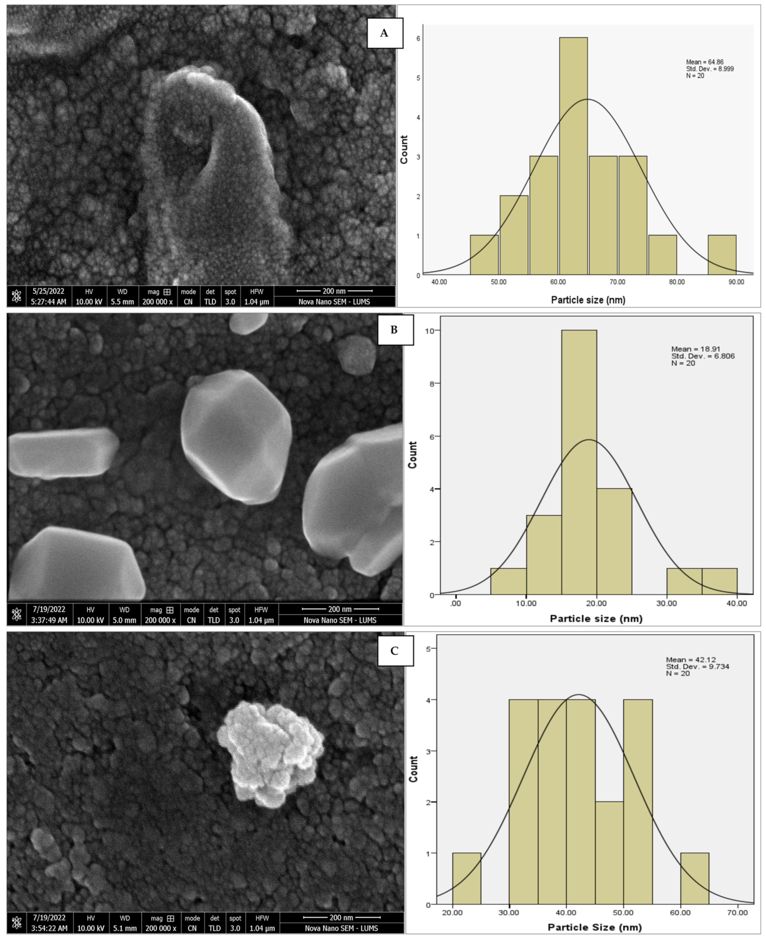 Sustainability 15 16633 g006a