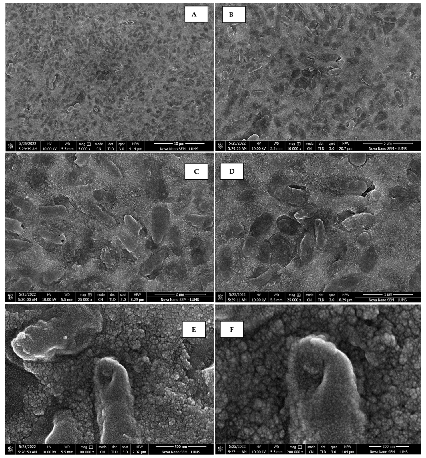 Sustainability 15 16633 g007