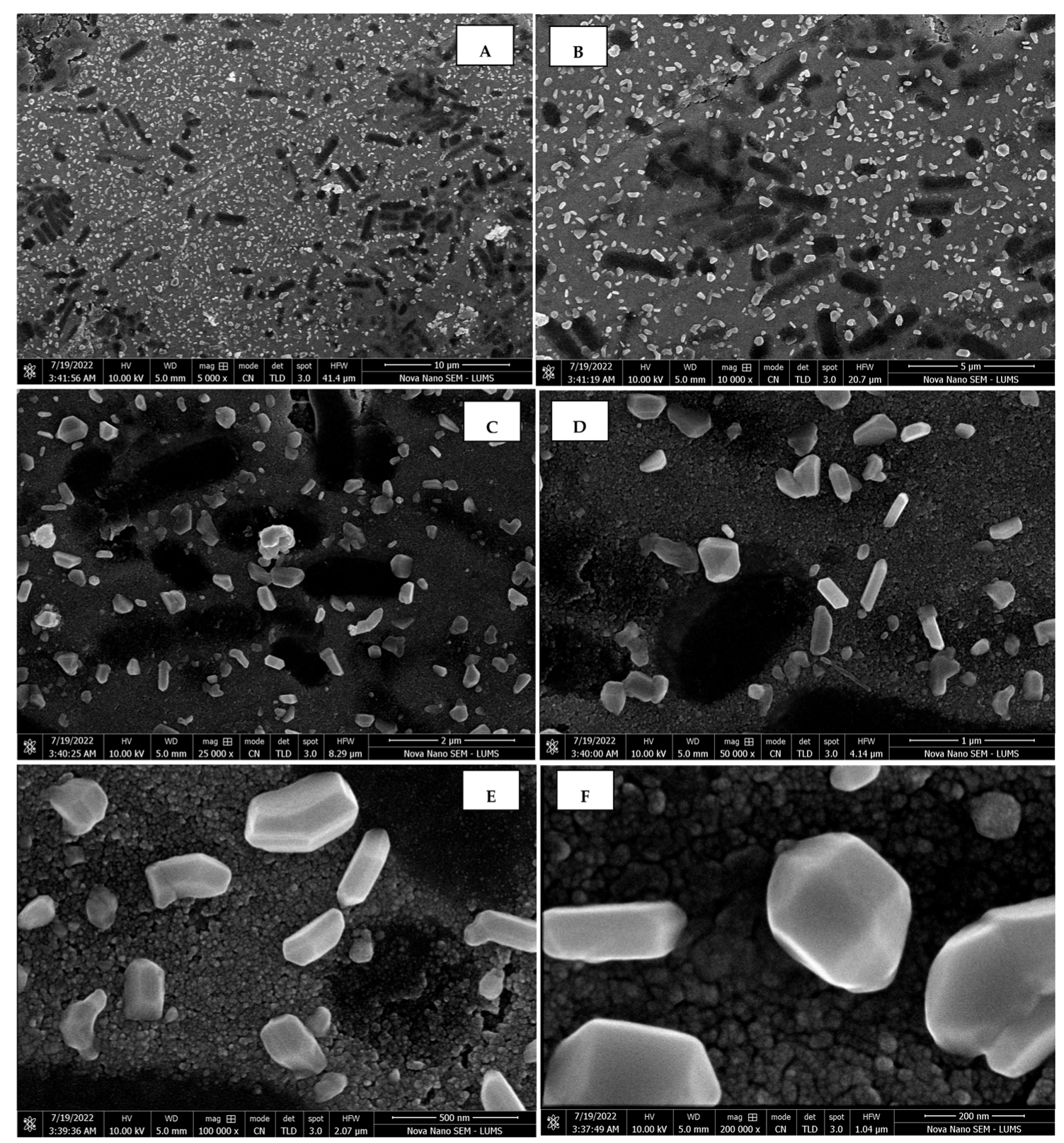 Sustainability 15 16633 g008