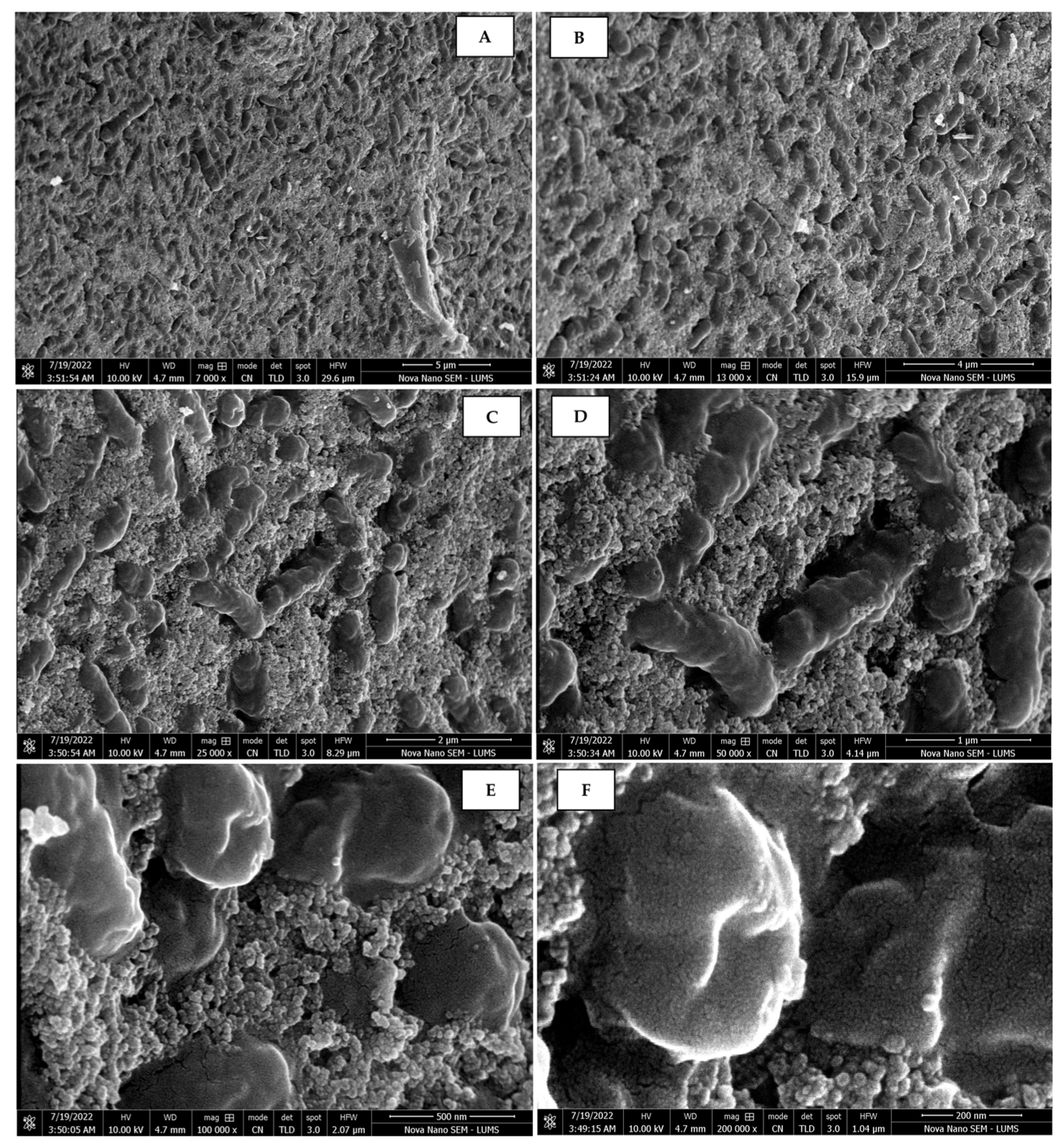 Sustainability 15 16633 g011