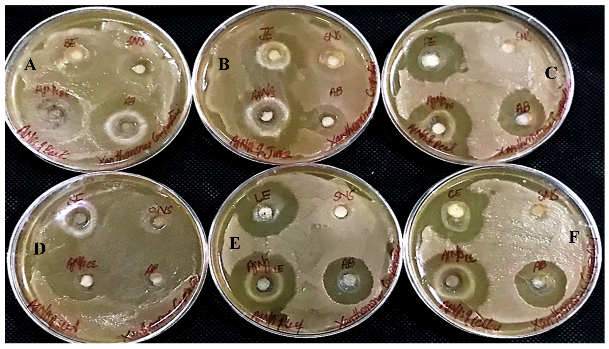 Sustainability 15 16633 g015