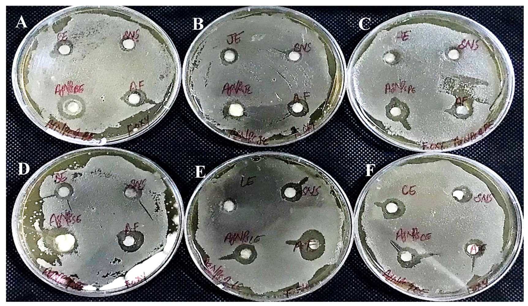 Sustainability 15 16633 g019