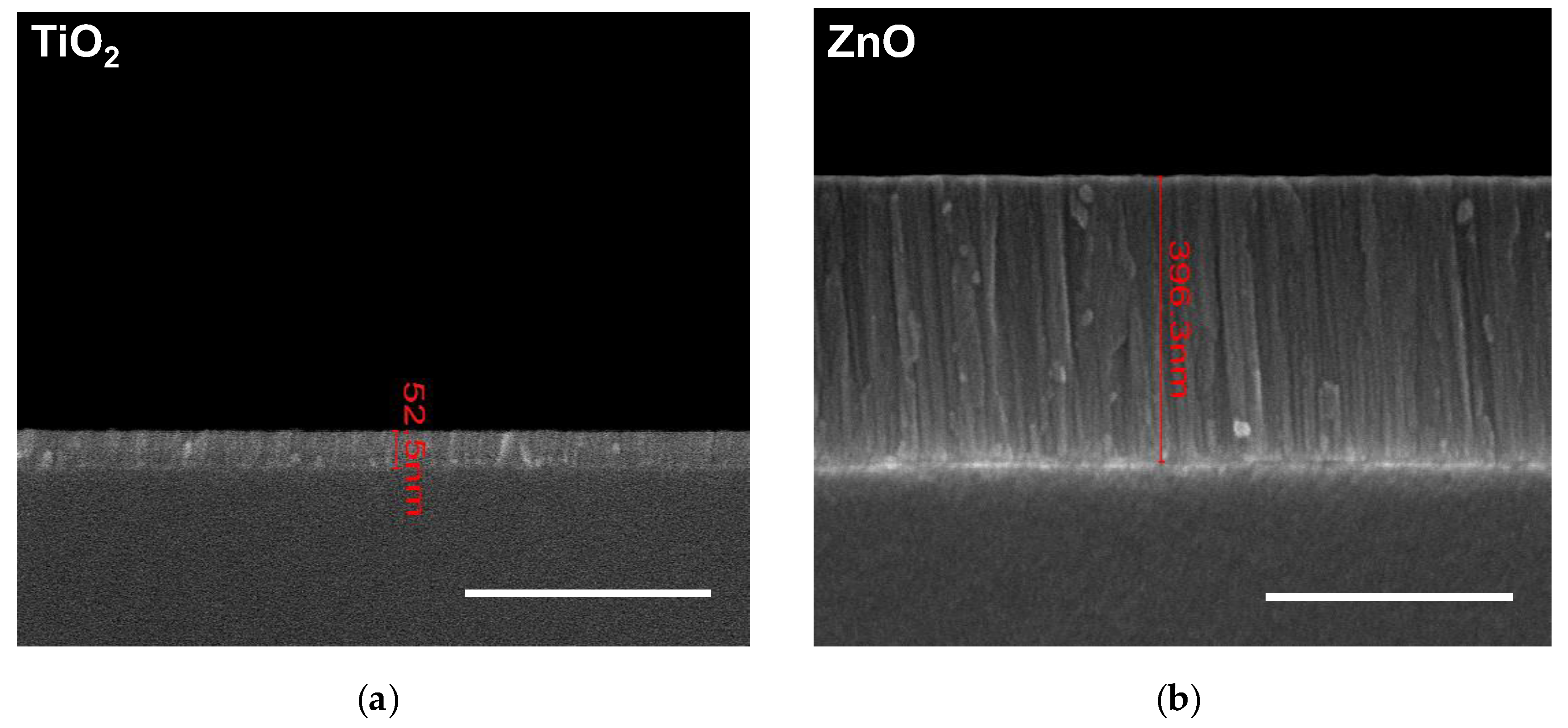 Sustainability 15 16701 g001