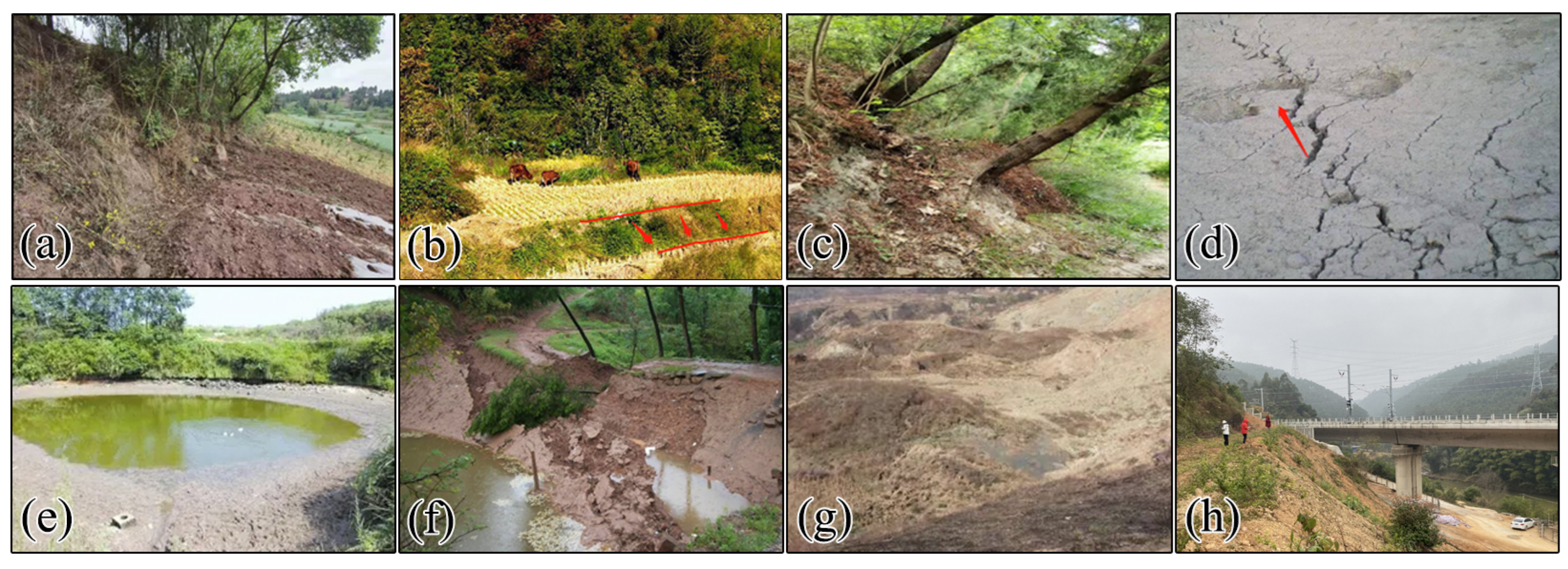 Sustainability 15 16705 g005