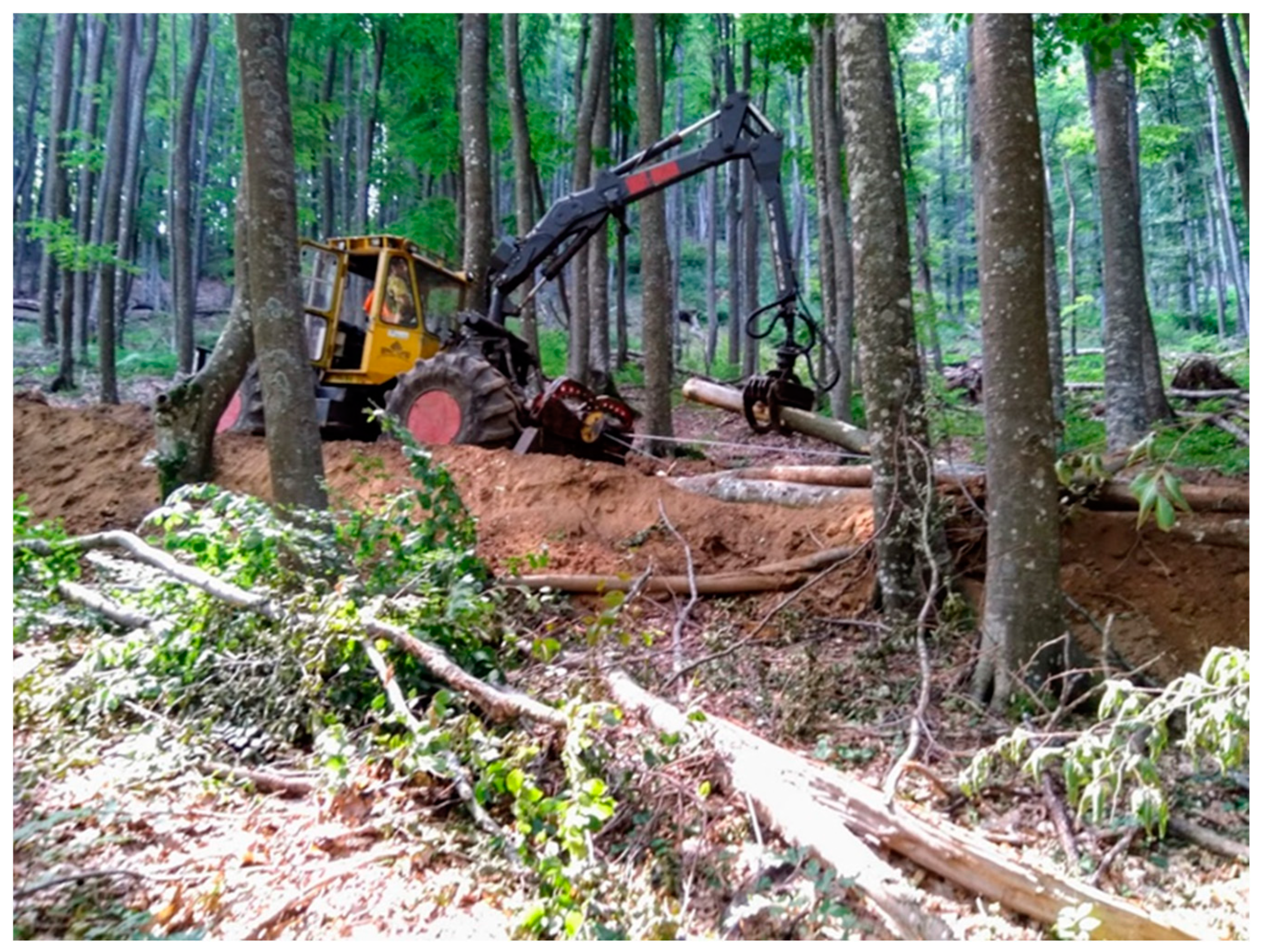 Sustainability 15 16749 g001