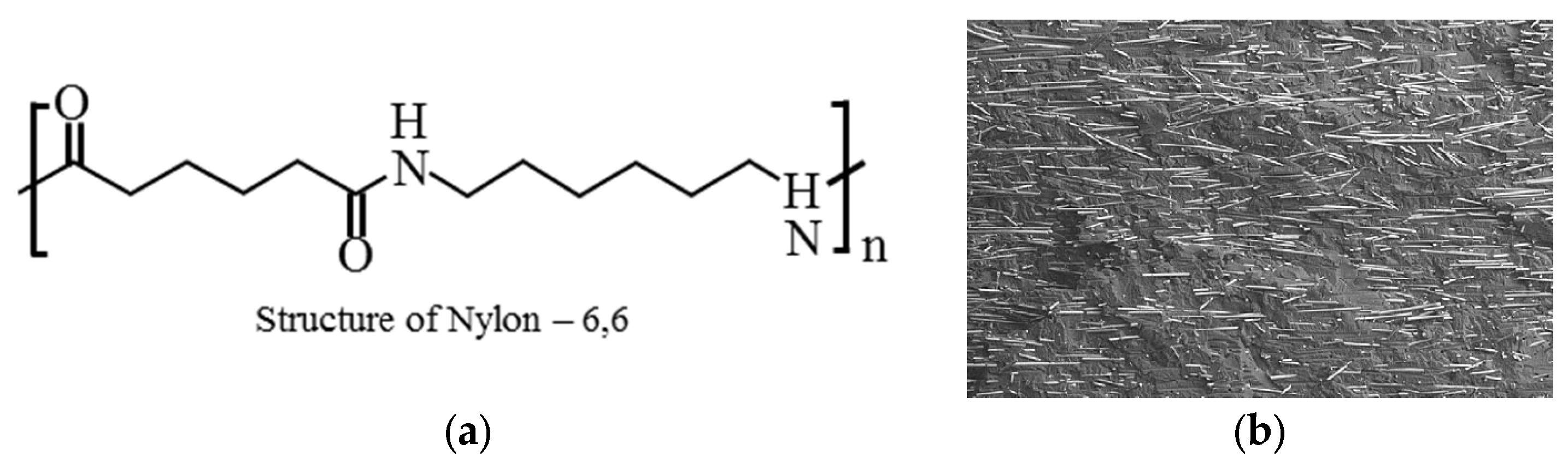 Sustainability 15 16777 g010