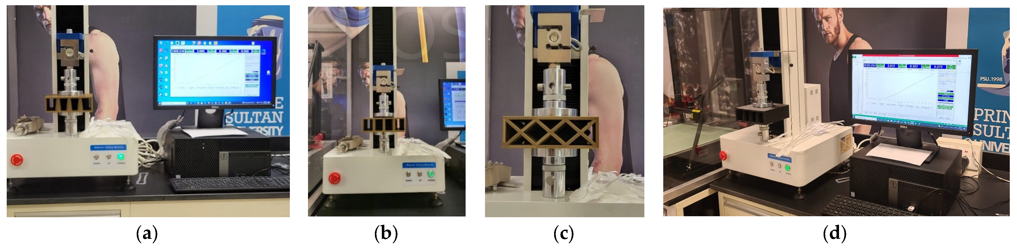 Sustainability 15 16777 g013