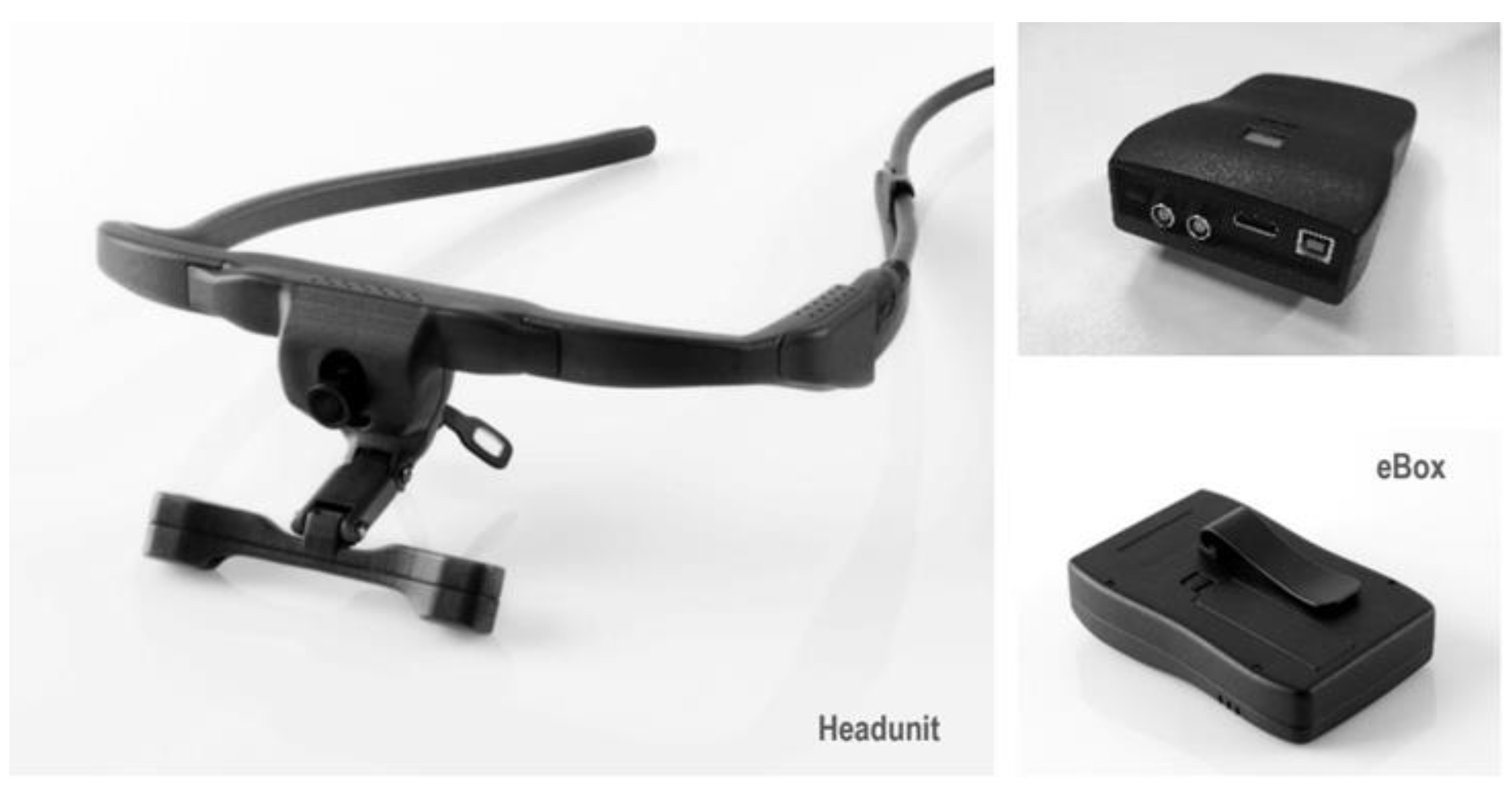 Sustainability 15 16792 g001