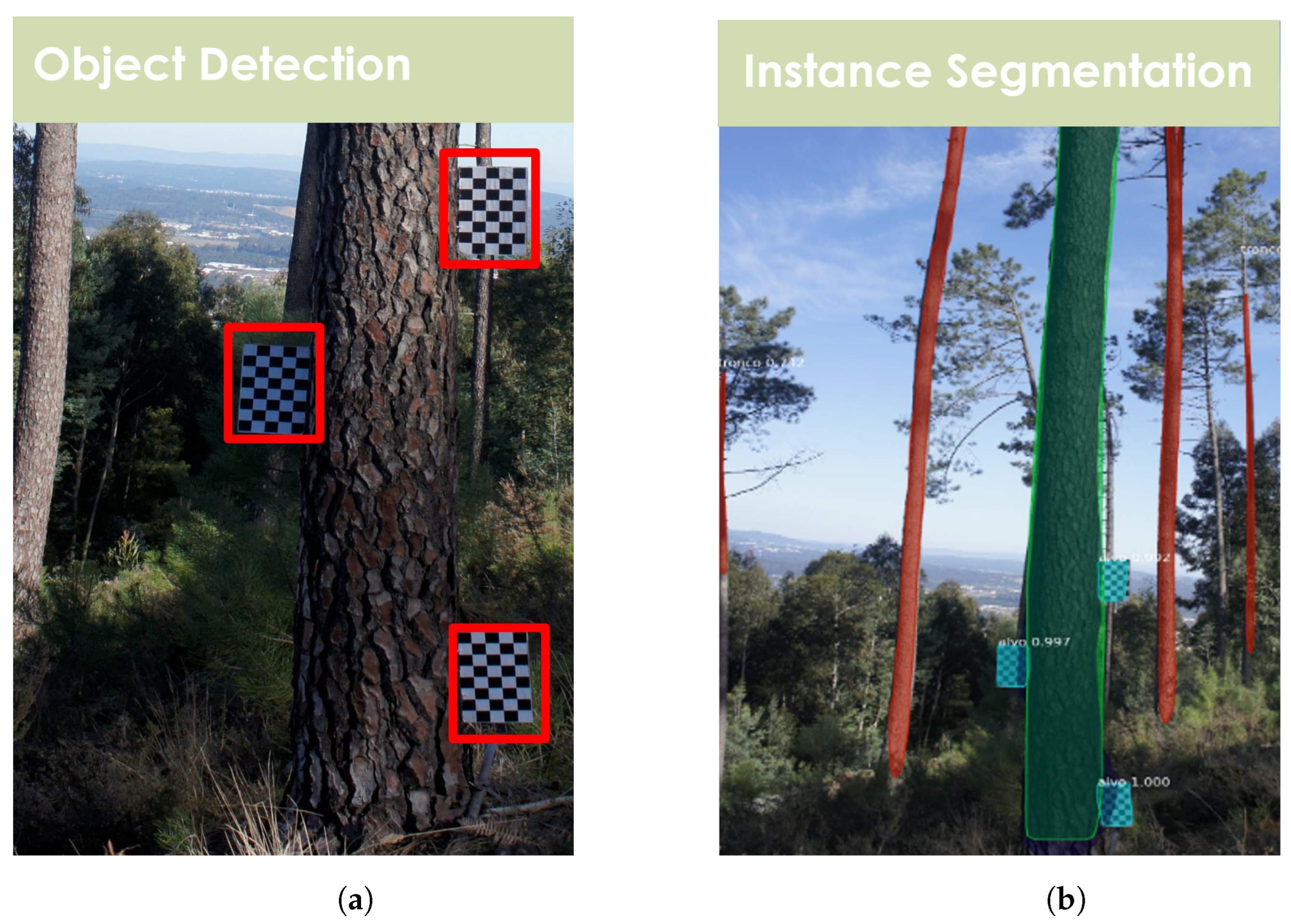 Sustainability 15 16814 g001