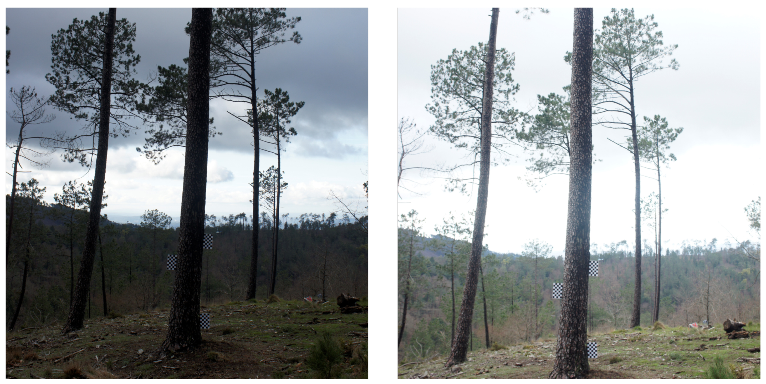 Sustainability 15 16814 g007