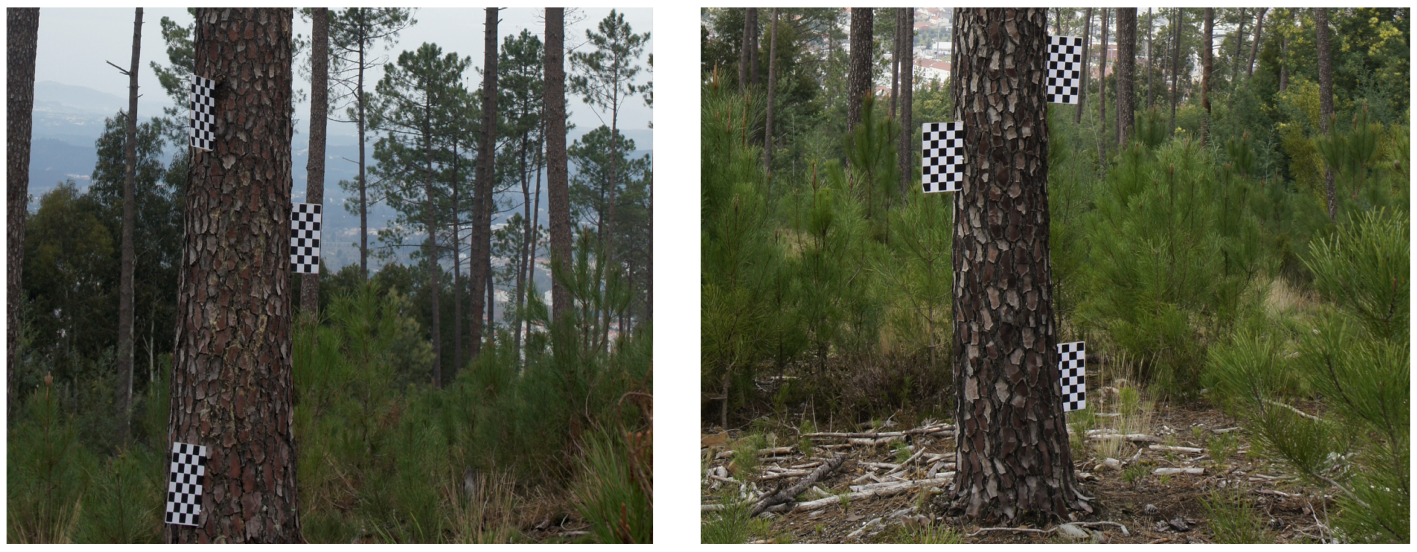 Sustainability 15 16814 g009