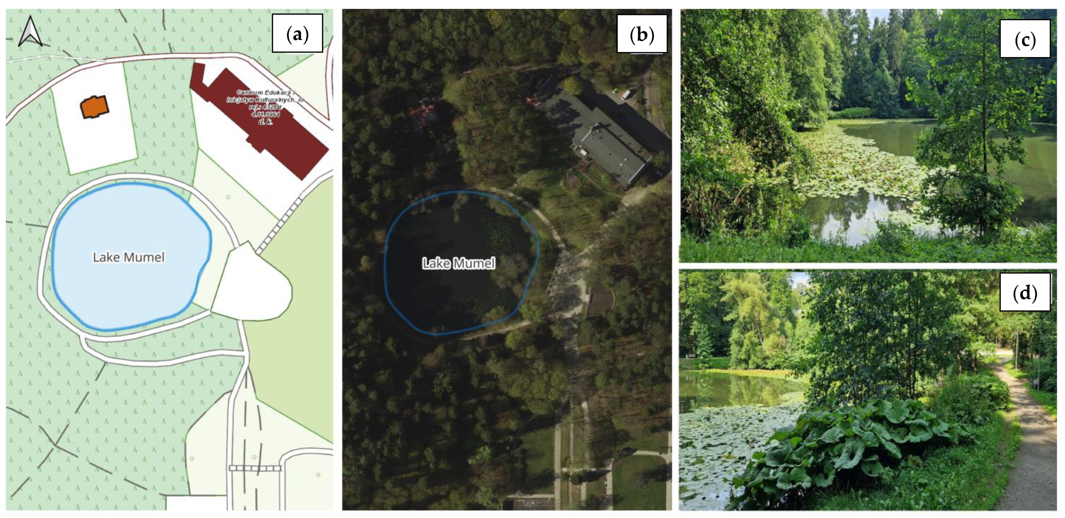 Sustainability 15 16843 g004