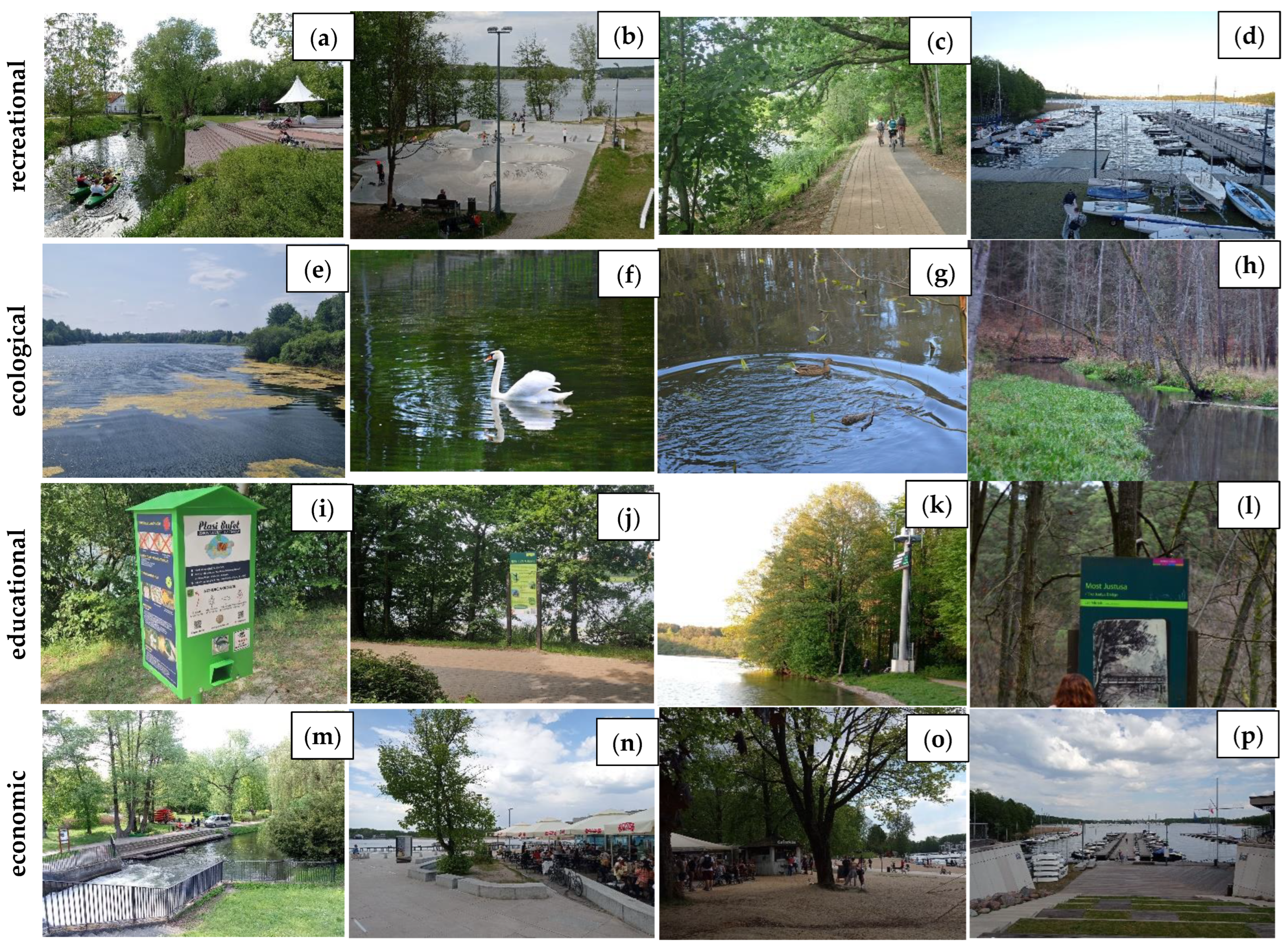 Sustainability 15 16843 g005a