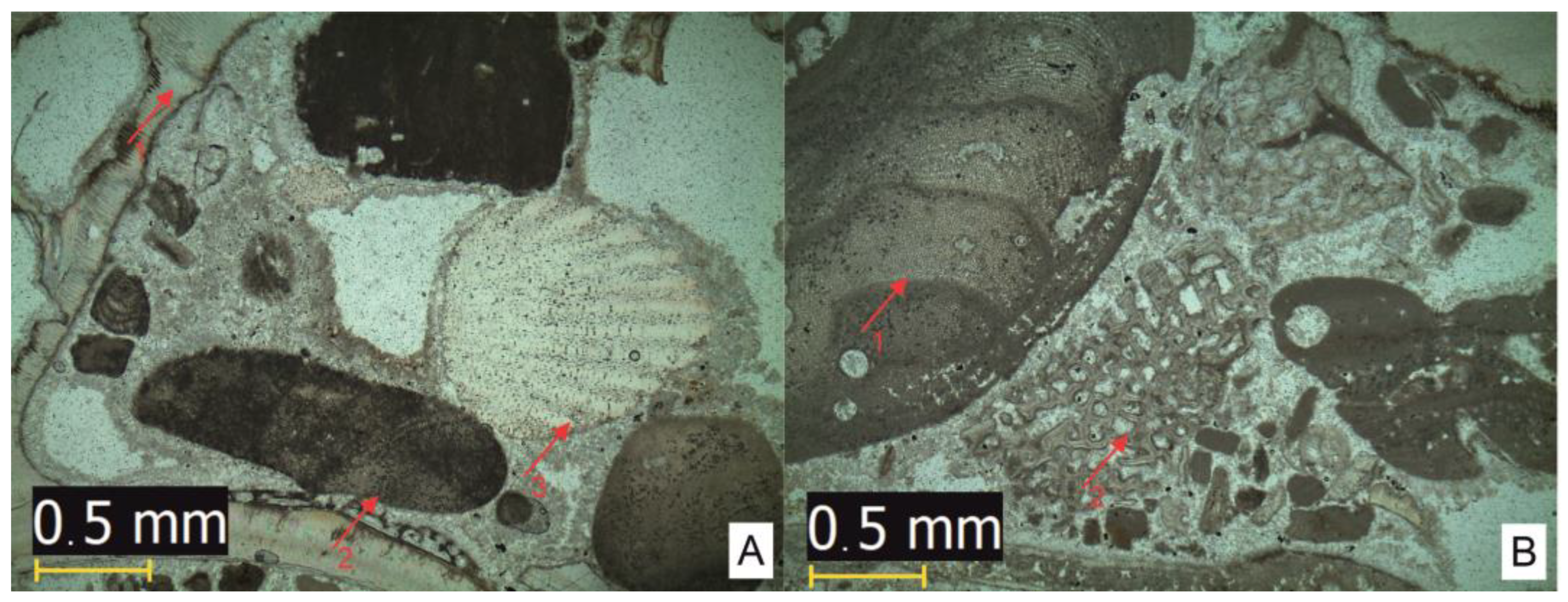 Sustainability 15 16863 g005
