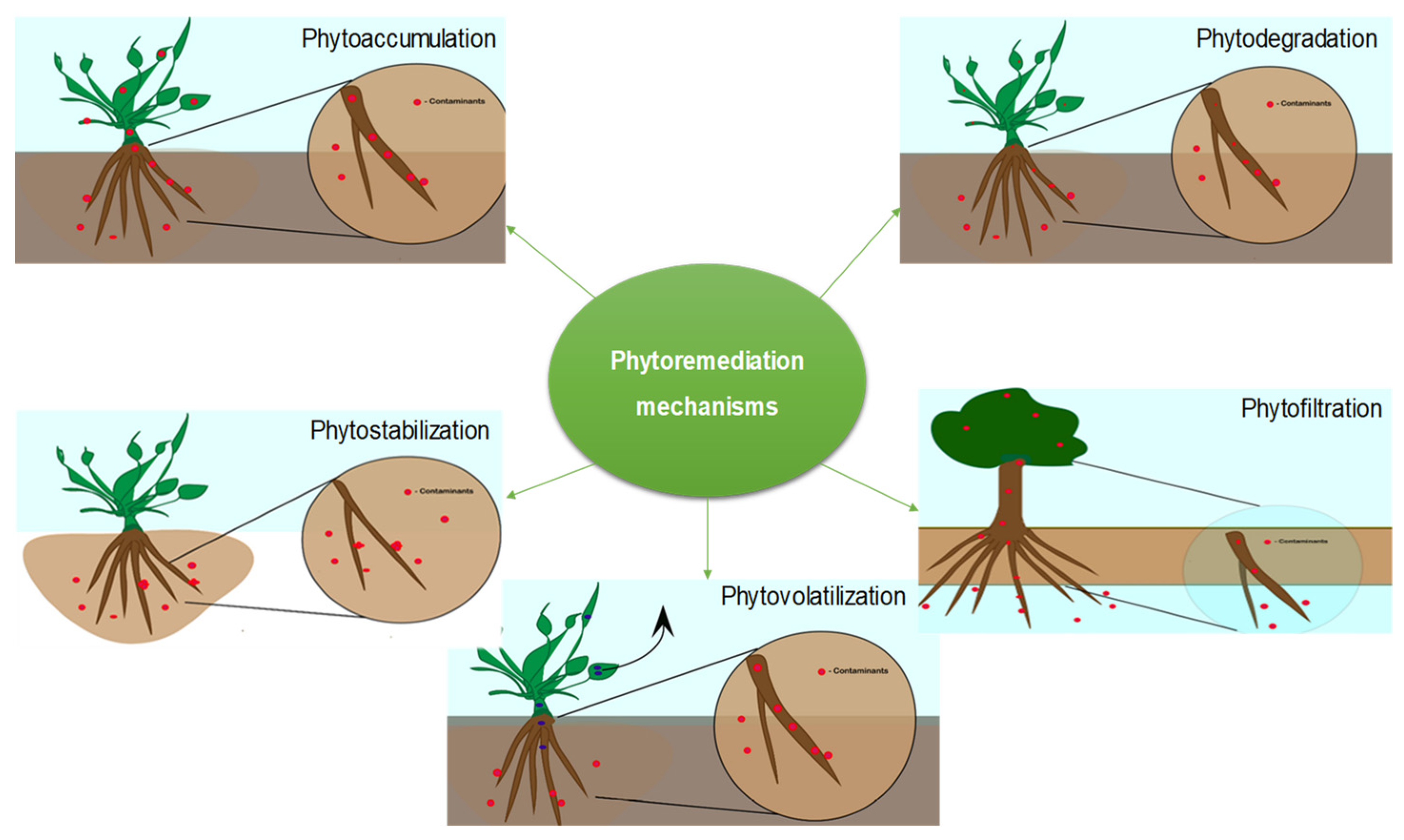 Sustainability 15 16865 g010
