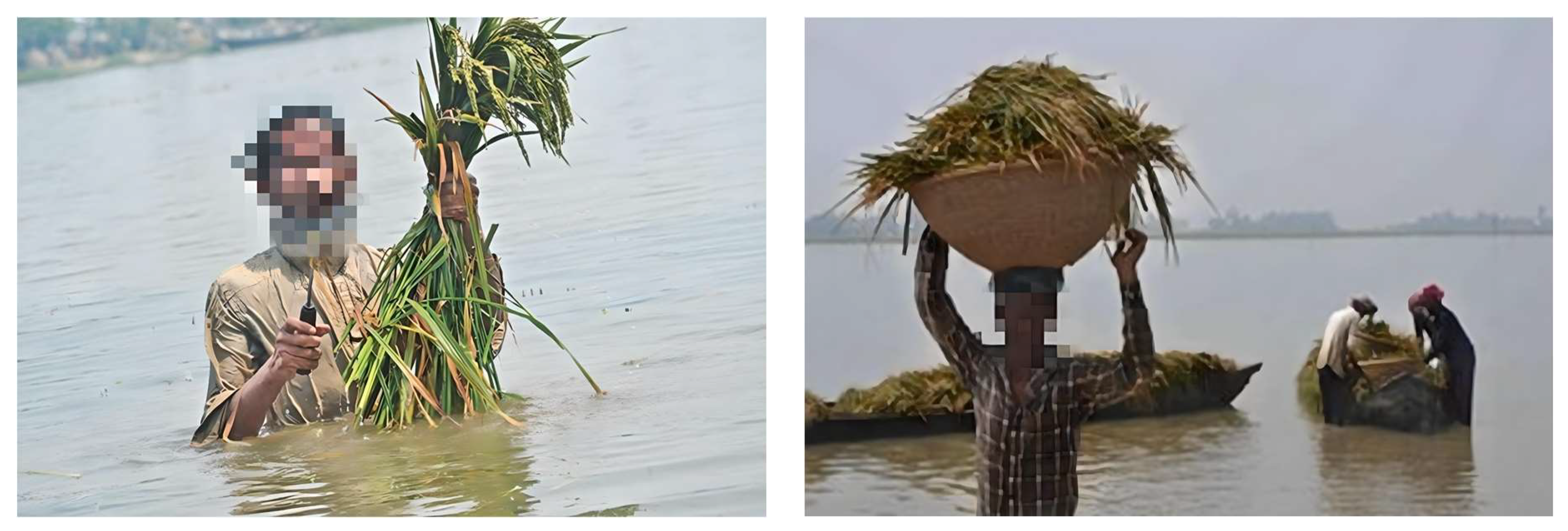 Sustainability 15 16873 g008b