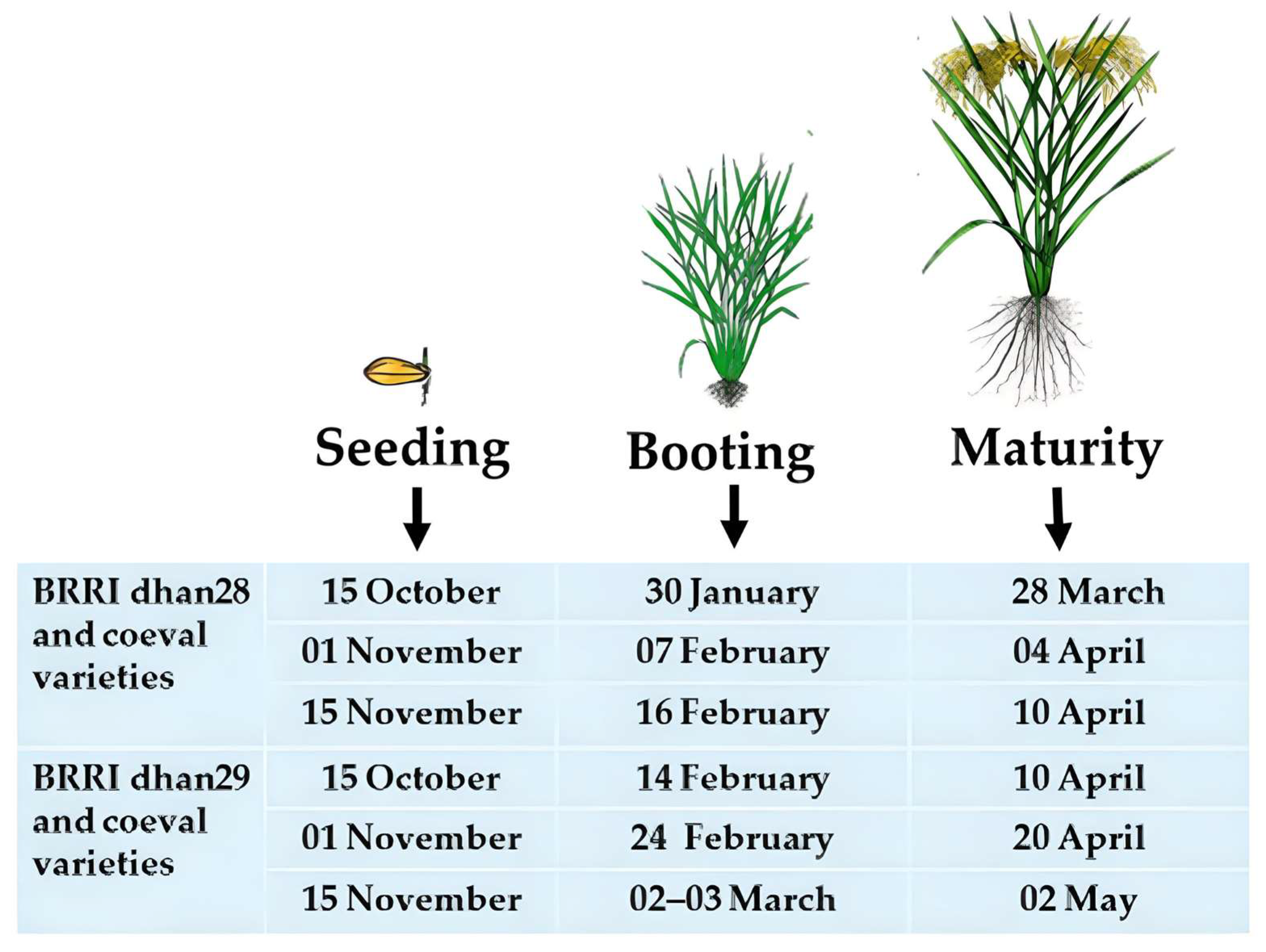 Sustainability 15 16873 g010