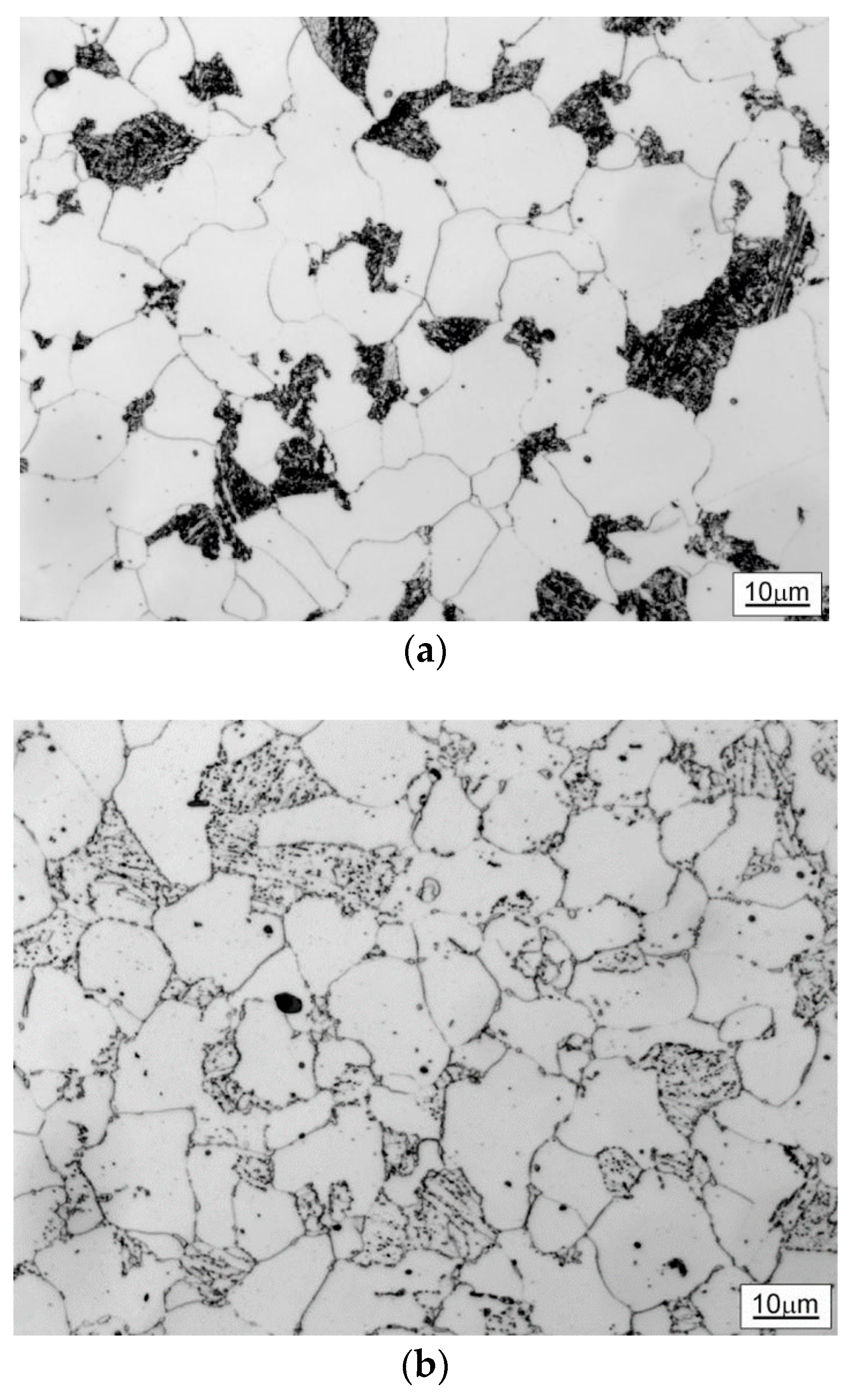 Sustainability 15 16877 g002a