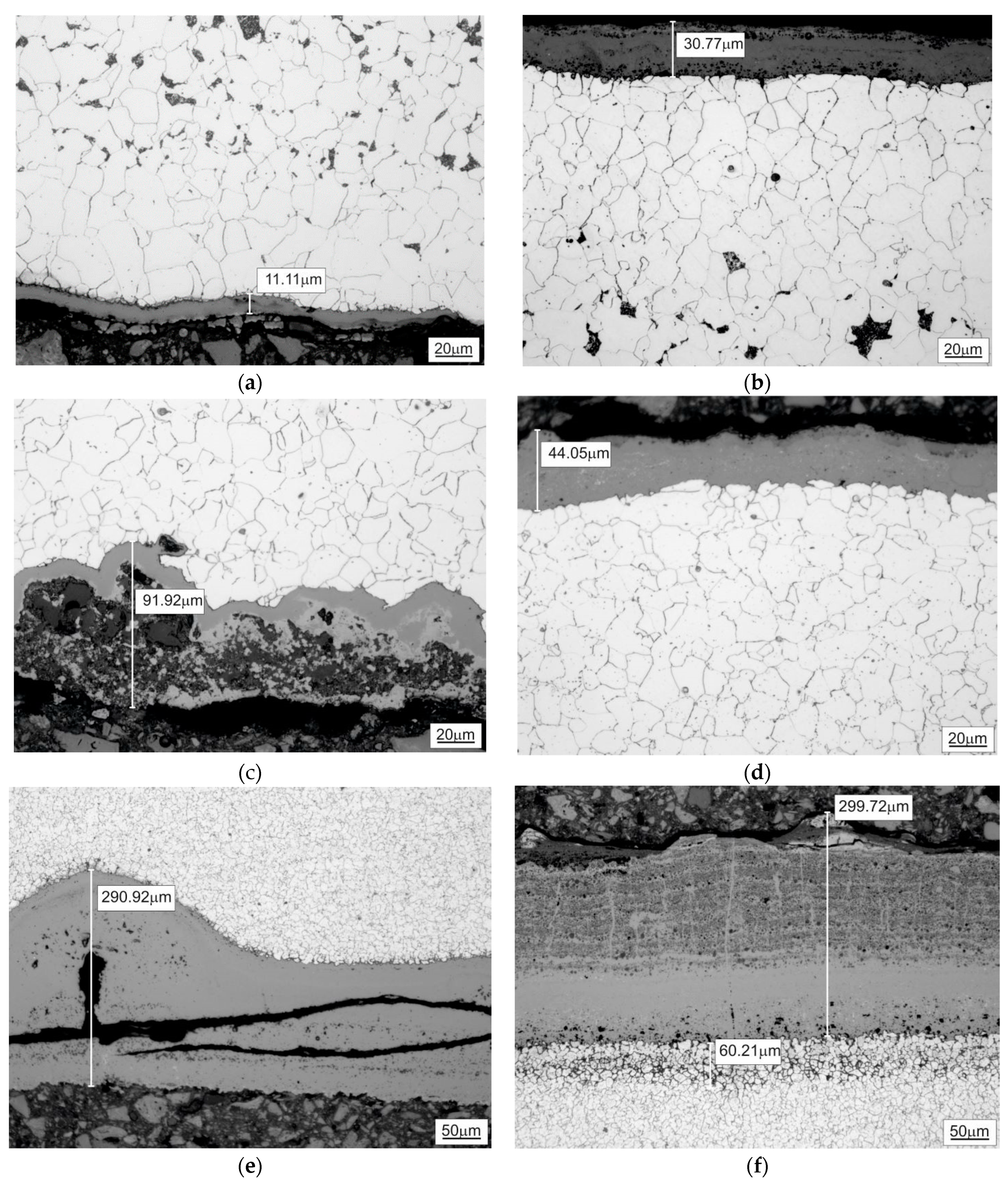 Sustainability 15 16877 g003