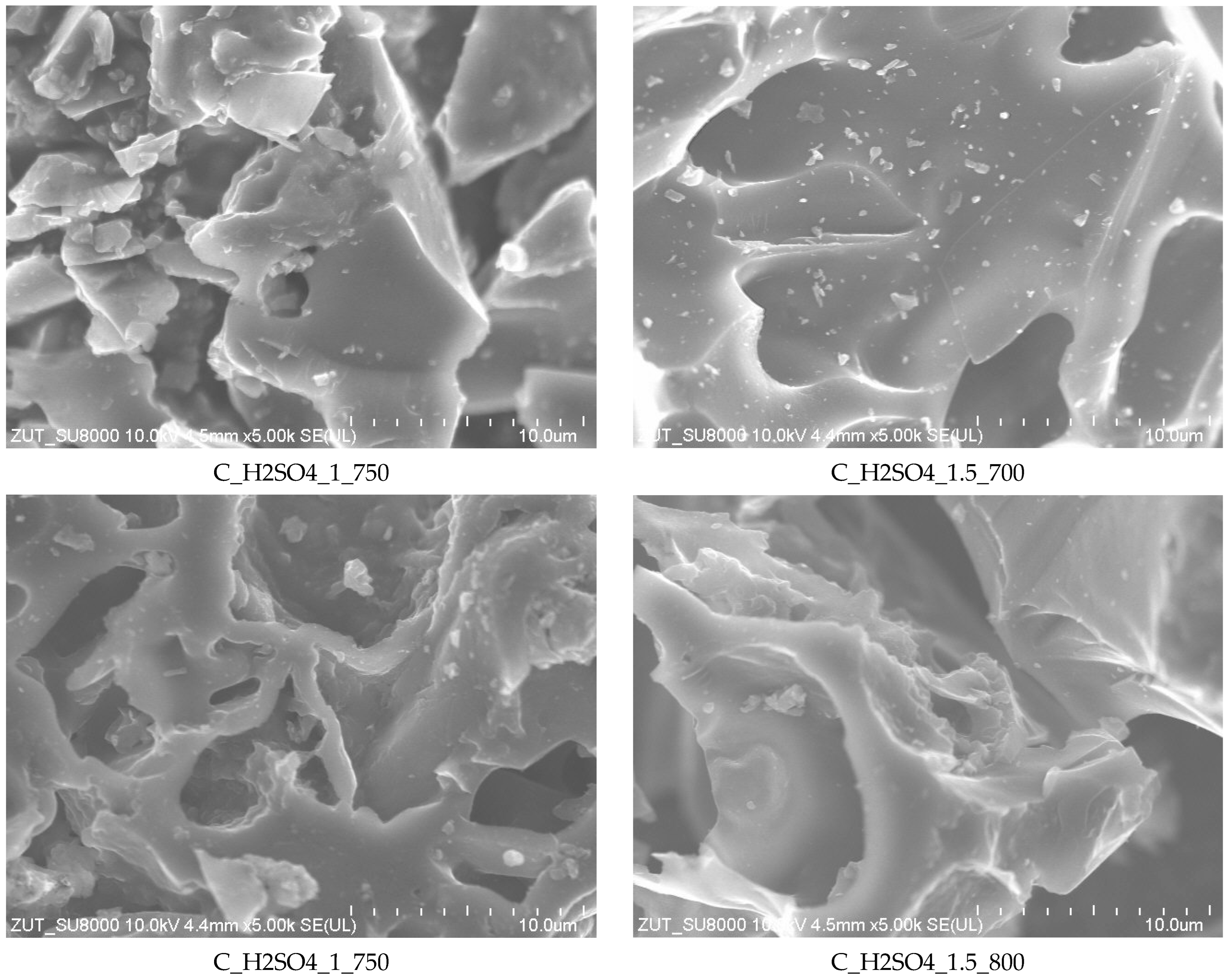 Sustainability 15 16881 g006