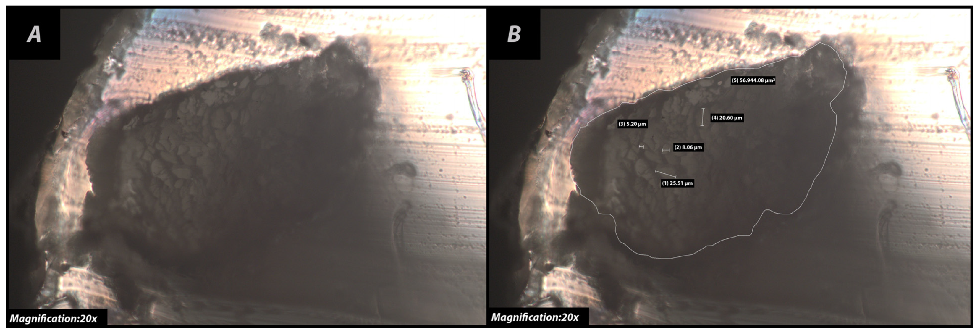 Sustainability 15 16894 g007