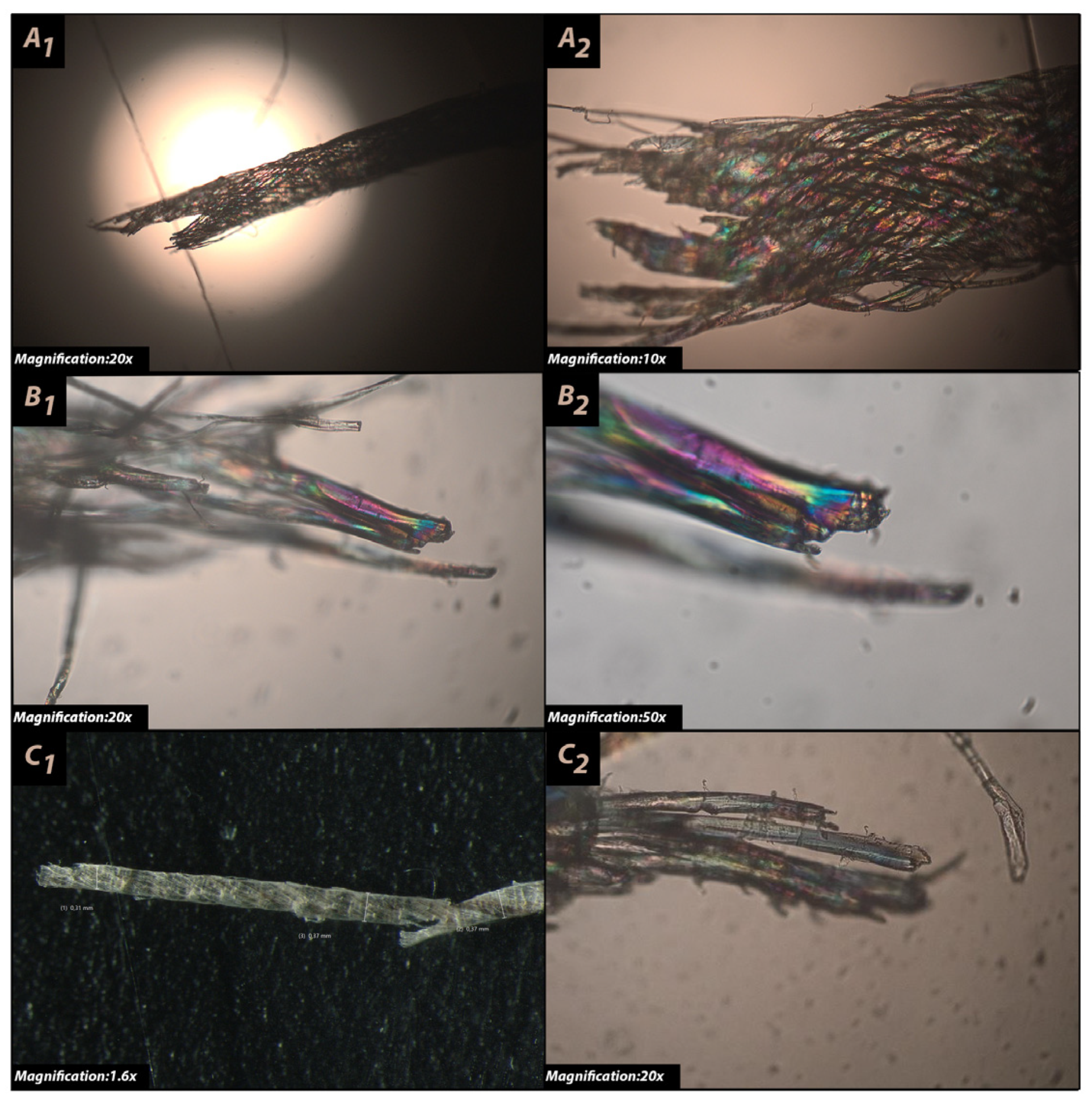 Sustainability 15 16894 g010