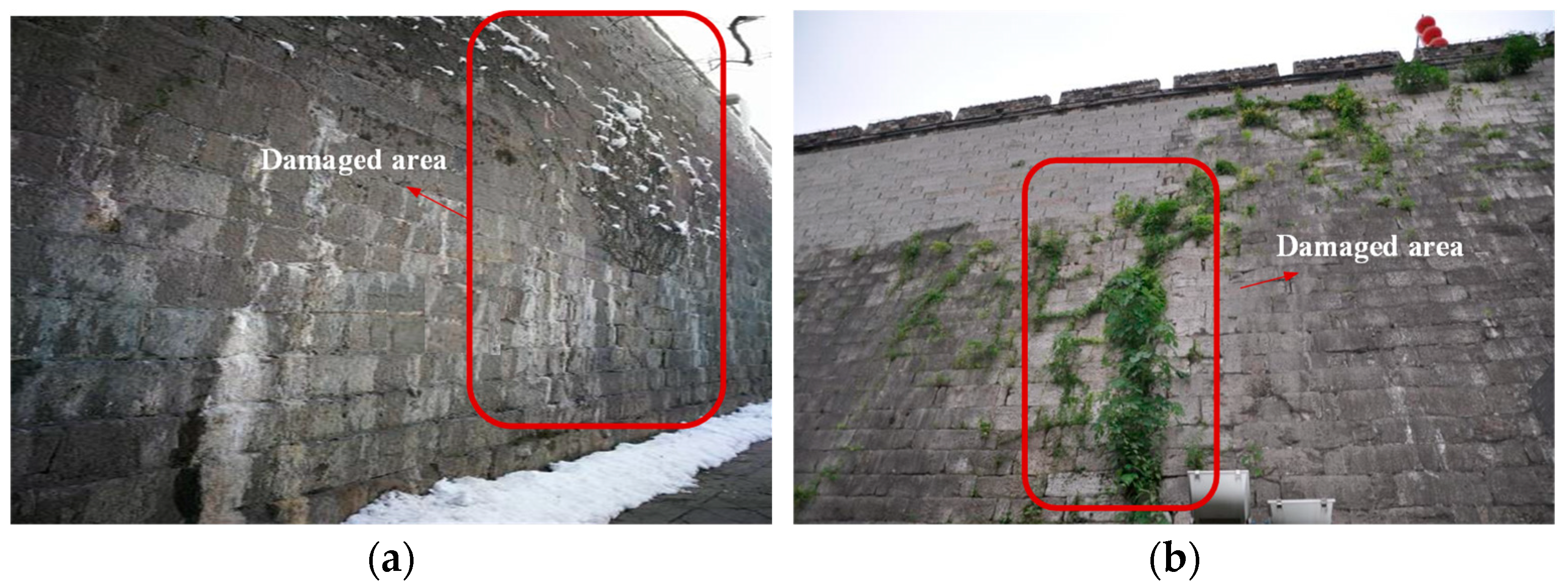 Sustainability 16 00005 g002