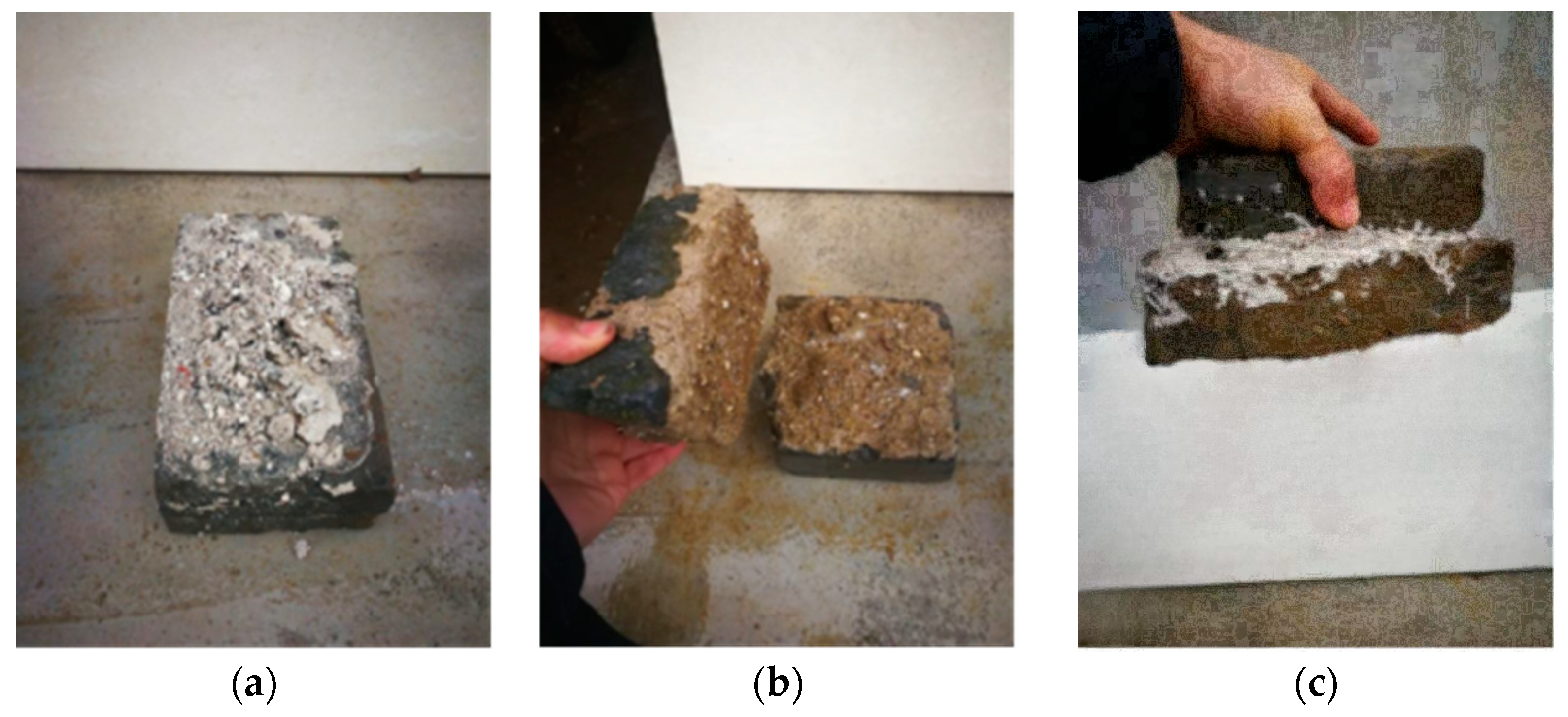 Sustainability 16 00005 g006