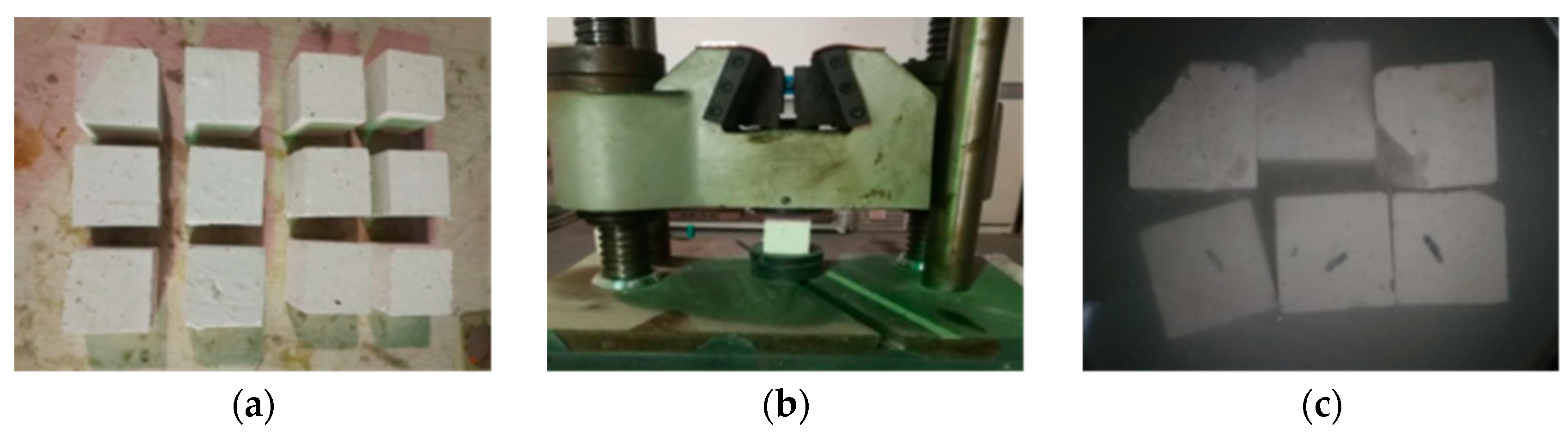 Sustainability 16 00005 g007
