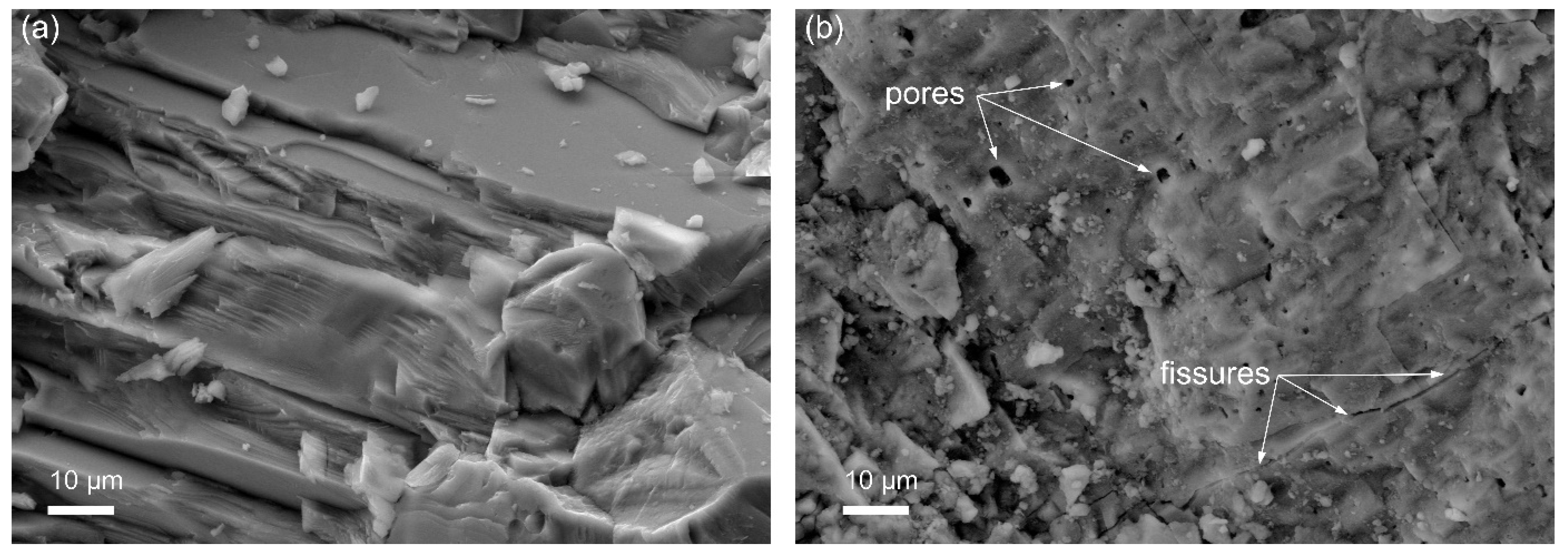 Sustainability 16 00008 g003