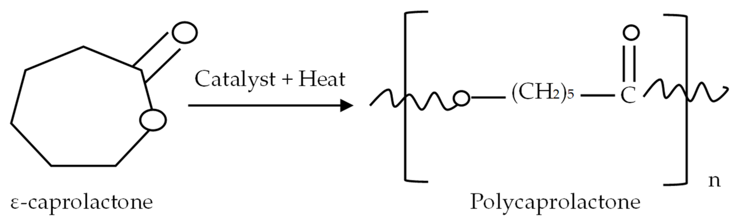 Sustainability 16 00027 g006