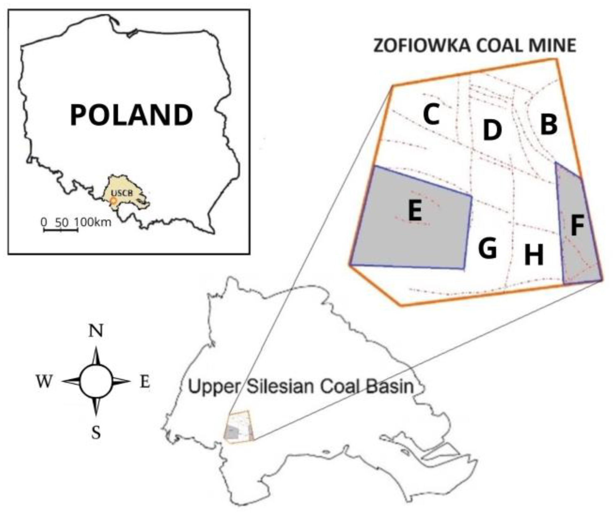 Sustainability 16 00043 g001