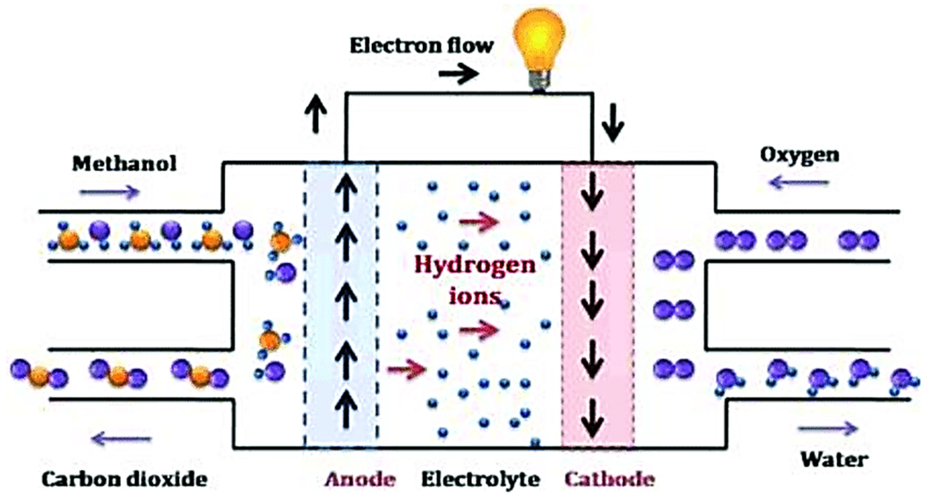Sustainability 16 00062 g001
