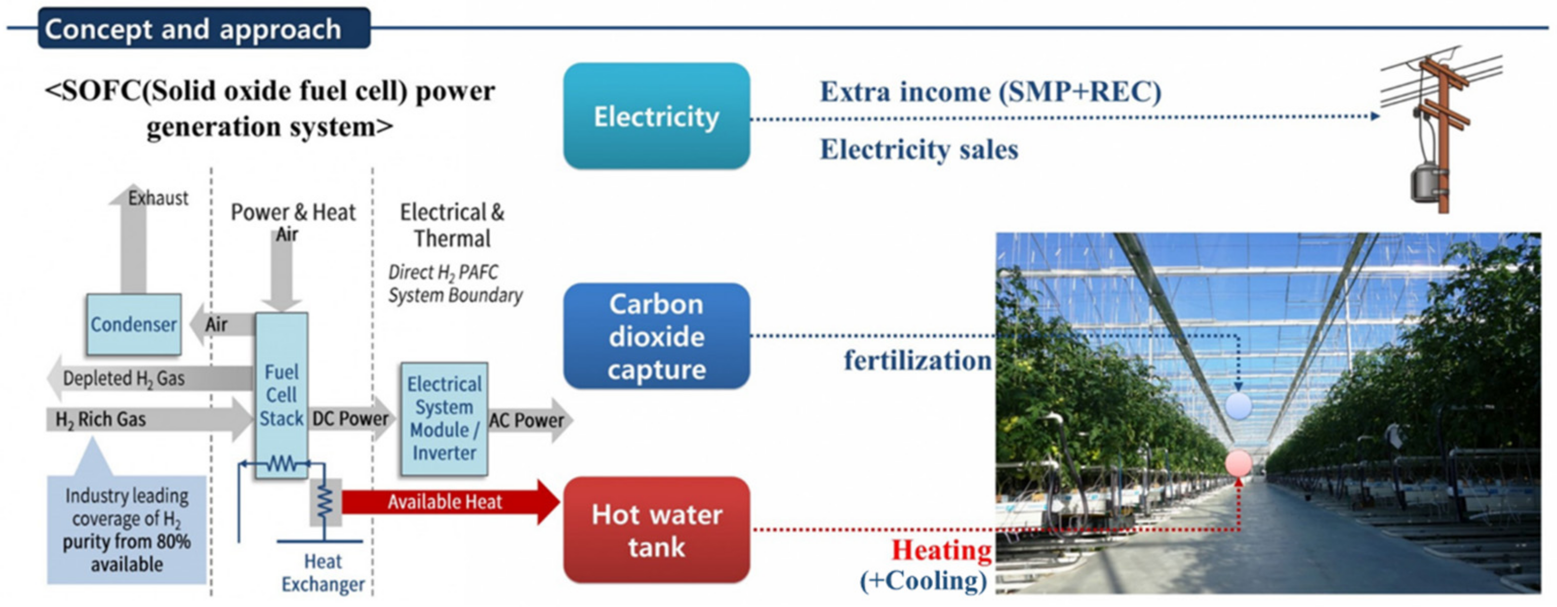 Sustainability 16 00074 g001