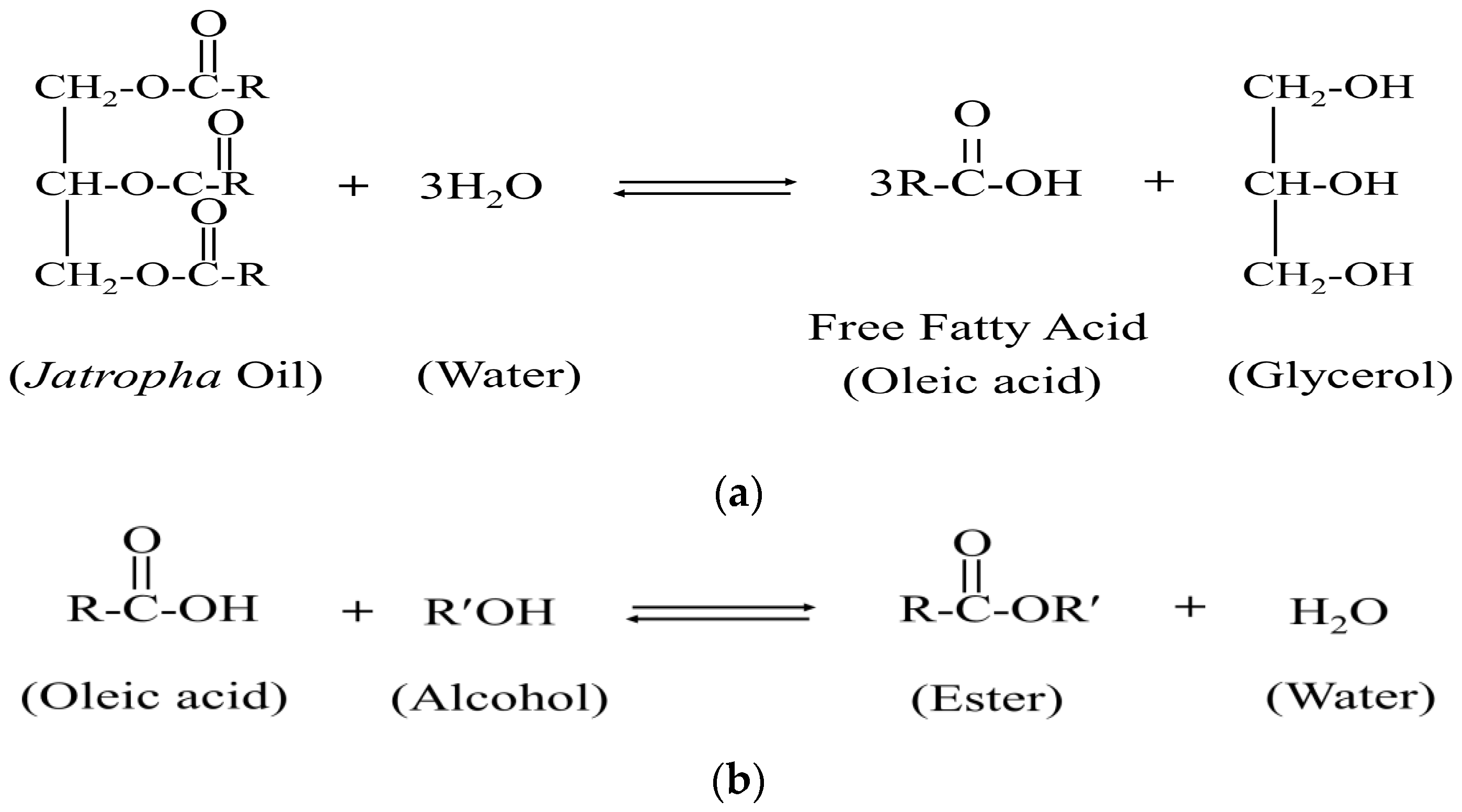 Sustainability 16 00100 g002
